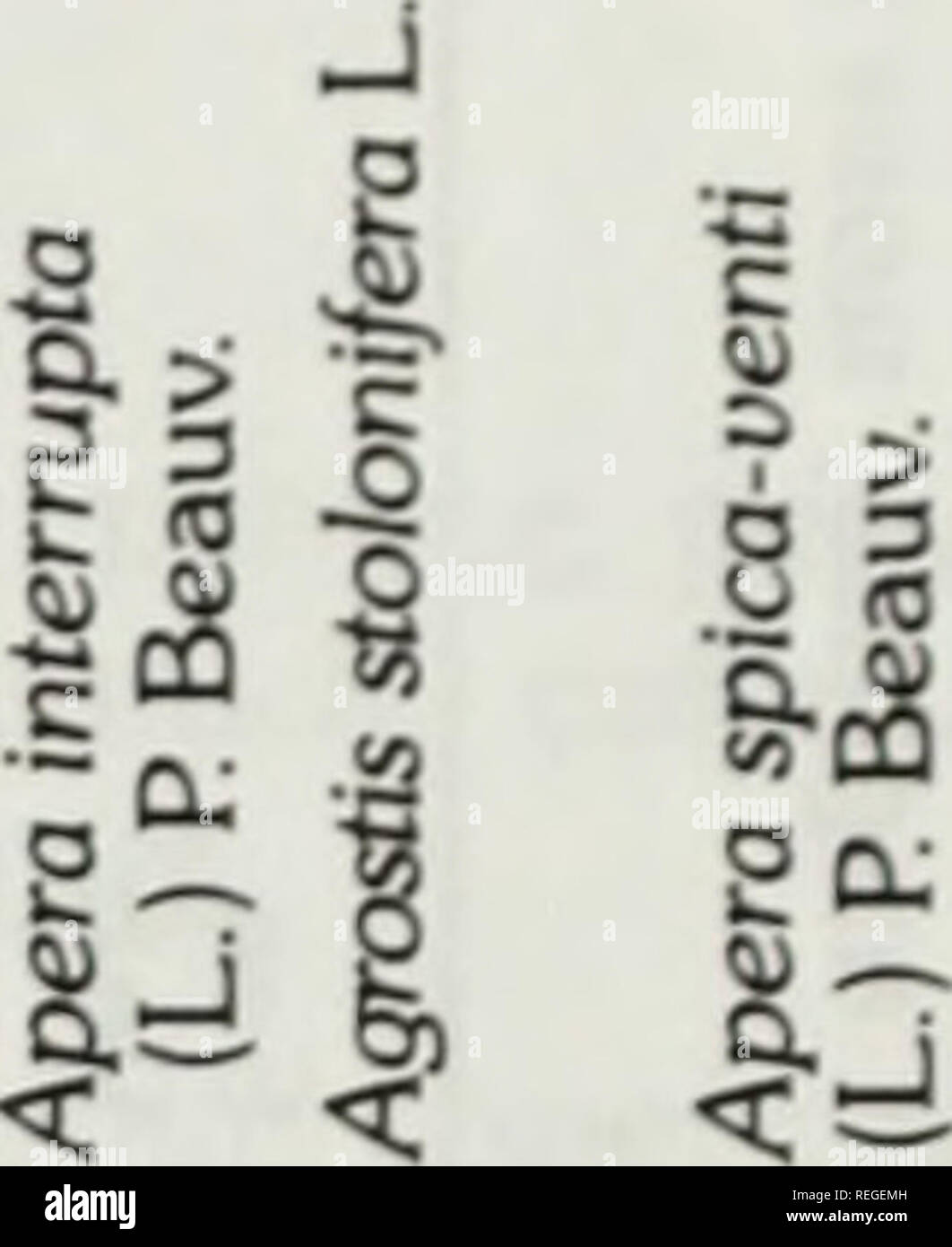 Noms Communs Et Scientifiques Des Mauvaises Herbes Au Canada Noms Populaires Et Scientifiques Des Plantes Nuisibles Du Canada Les Mauvaises Herbes Les Mauvaises Herbes 3 I 8 Lt O 1111