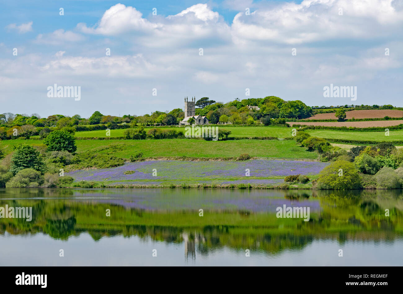 Le printemps à la campagne, à Cornwall, Angleterre, Royaume-Uni. Banque D'Images Le printemps à la campagne, à Cornwall, Angleterre, Royaume-Uni. Banque D'Images