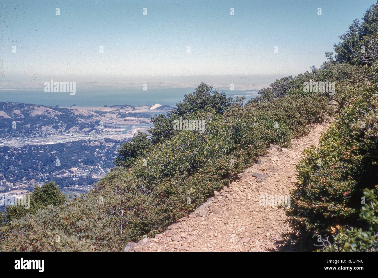 Vue panoramique face à l'ouest d'un sentier sur le Mont Tamalpais, Californie, Juin, 1957. () Banque D'Images