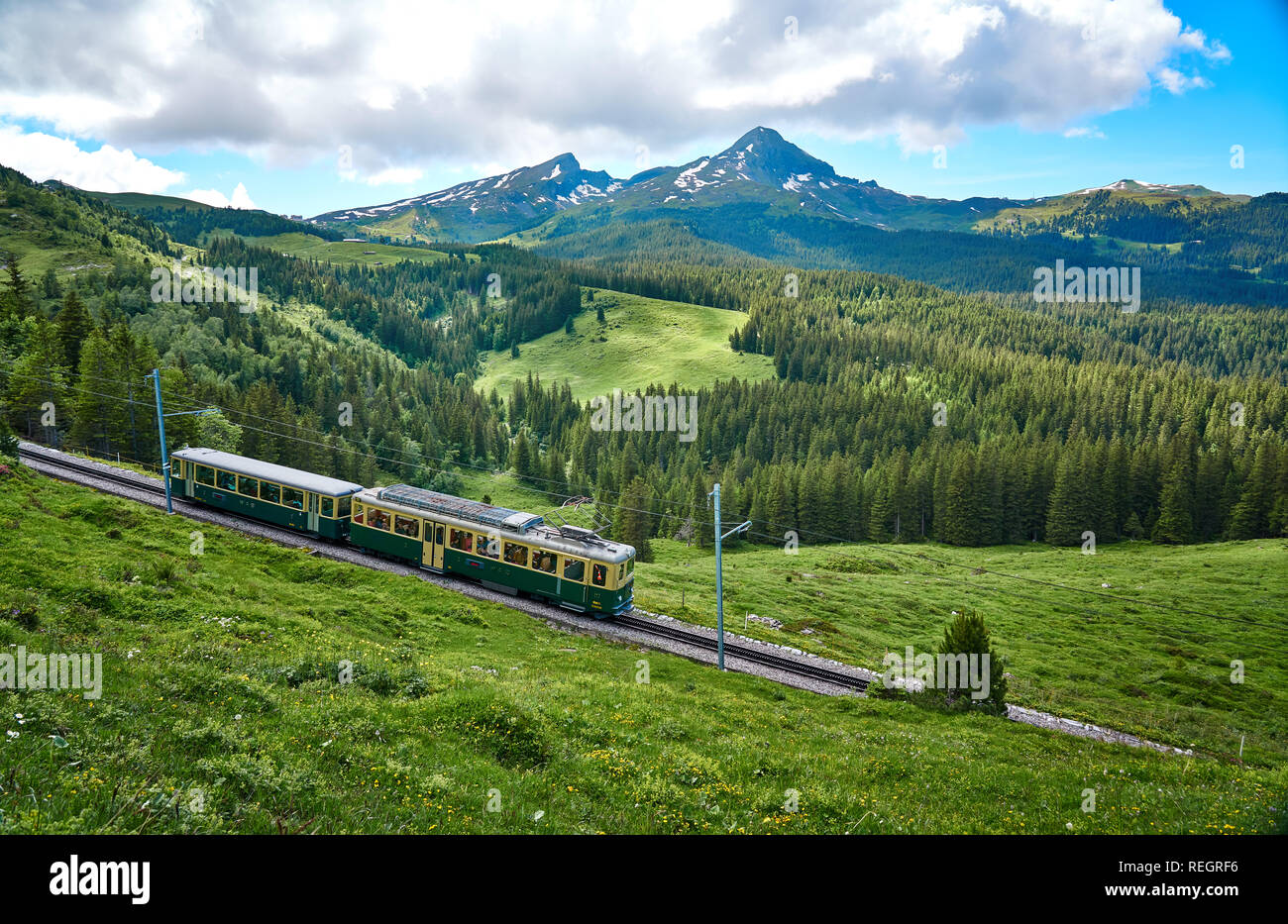 Paysage des Alpes suisses avec nature verte, prairie et Grindelwald - Kleine Scheidegg train, Alpes bernoises, Suisse. Banque D'Images