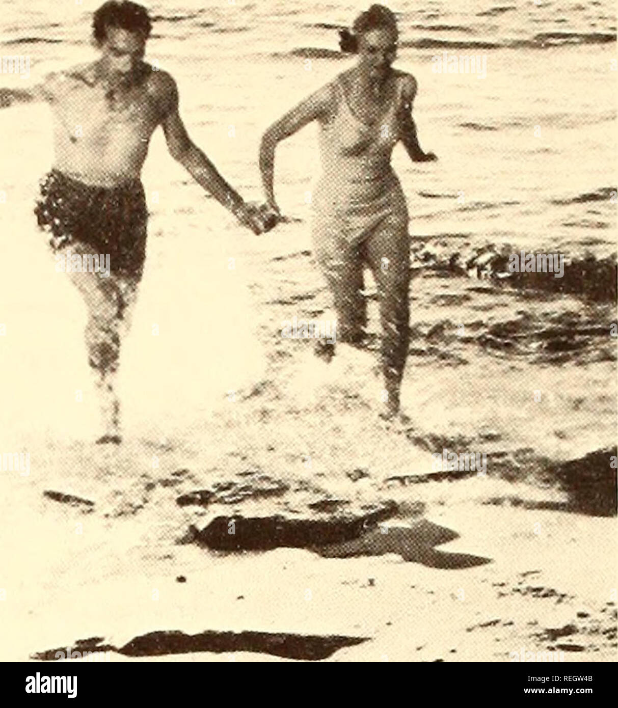 . Recueillis les réimpressions, Essa Institut d'océanographie. Bedford périodiques.. Photo avec la permission de l'American Airlines à d'autres moments, lorsqu'il y a des sédiments en suspension dans l'eau, un courant de retour peuvent être marqués par une longue bande brunâtre plus foncé de l'eau. Habituellement, le surf est plus faible là où un courant de retour passe à travers la zone de ressac, et il y aura une pause dans la ligne de disjoncteurs. Ou si un courant d'arrachement a été stabilisée à un endroit pendant un certain temps, il y a souvent un peu de langue de sable construit à l'aide de la plage à la base du rip. Si, comme vous vous baignez, vous remarquez que vous avez tendance à se déplacer plus rapidement dans l'un directeur Banque D'Images