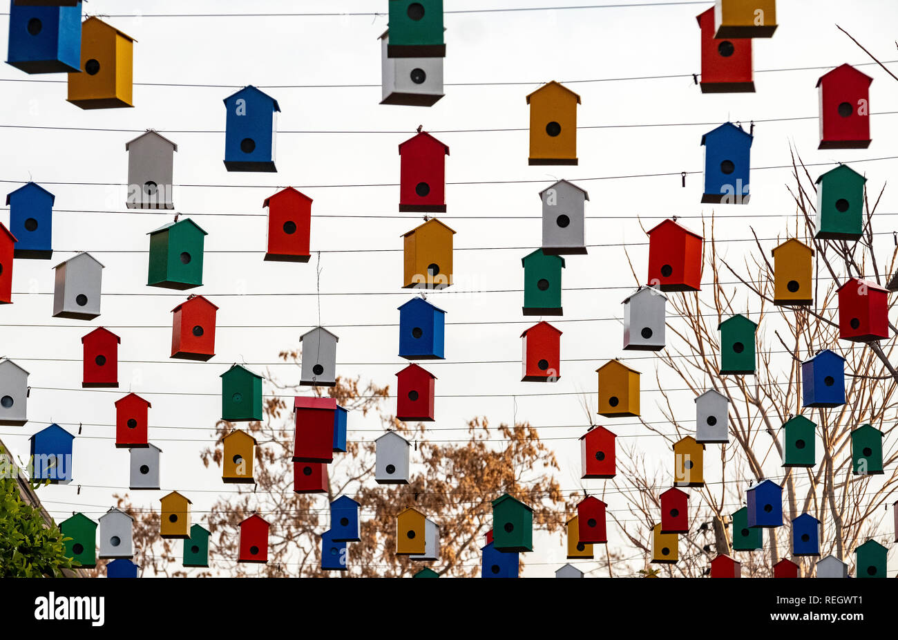 Boîtes d'oiseaux colorés suspendus sur un fil au-dessus d'un marché de rue à Nicosie Chypre. Banque D'Images