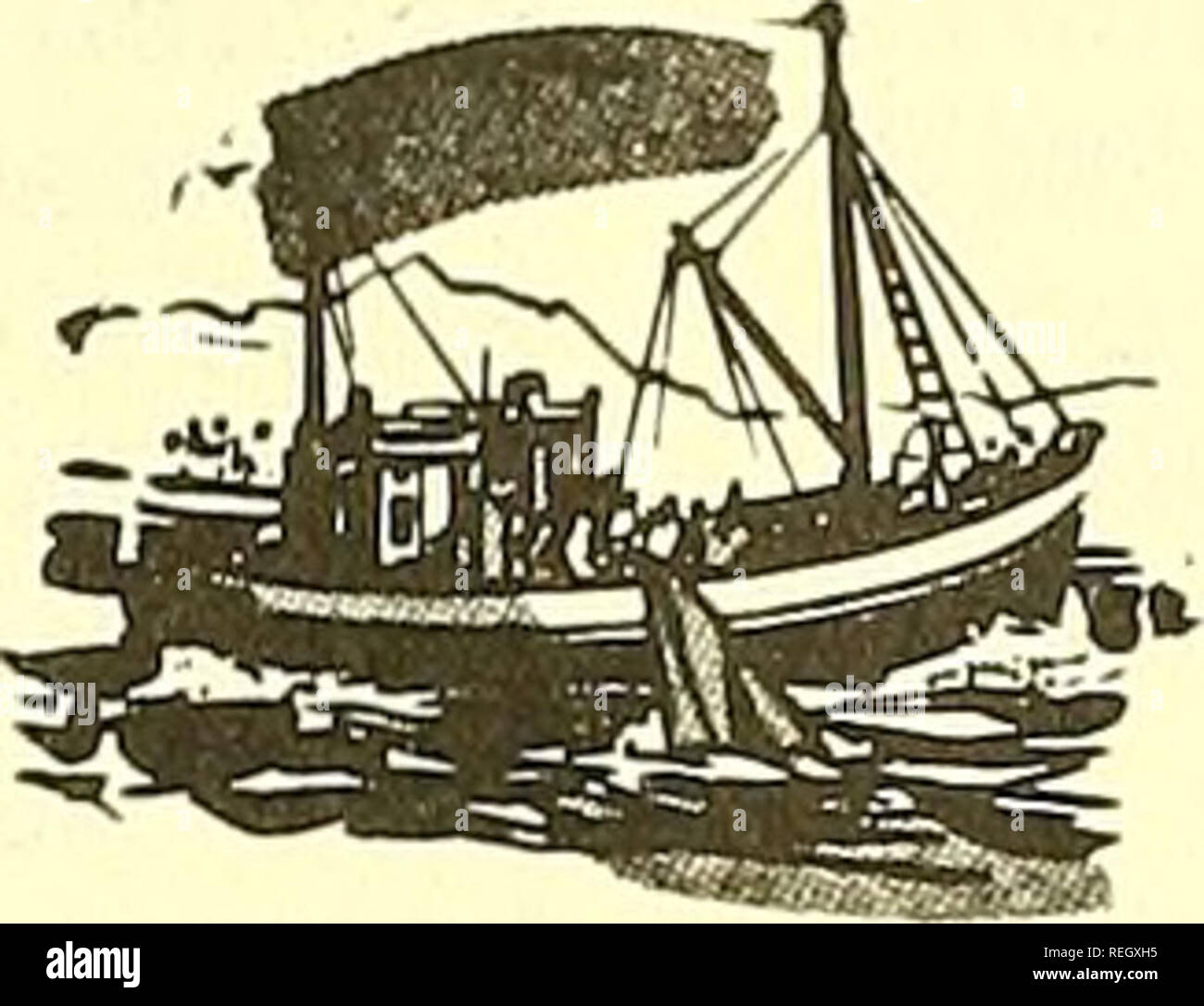 . Examen de la pêche commerciale. La pêche, le commerce du poisson. 40 ouvrages et articles cités (suite) ORCUTT, H. G. 1969. Ressources Bottomfish du système du courant de Californie, Californie Mar. Res. Comm., Cal COFI Rept., 13 : 53-59. La COMMISSION DES PÊCHES MARINES DU PACIFIQUE 1954. (La pêche de la morue charbonnière de la côte du Pacifique), de poissons marins du Pacifique Comm. Bull., 3, 130 p. PHILLIPS, J. B. 1958. La pêche de la Morue charbonnière Anoplopoma fimbria, Californie Fish and Game, 44 (1) : 79. SCHICK, Georges,, JOHN D. Isaacs, et MEREDITH H. 1968 sessions. Autnomous Instruments dans la recherche océanographique, quatrième National AAS Les sciences de la Banque D'Images