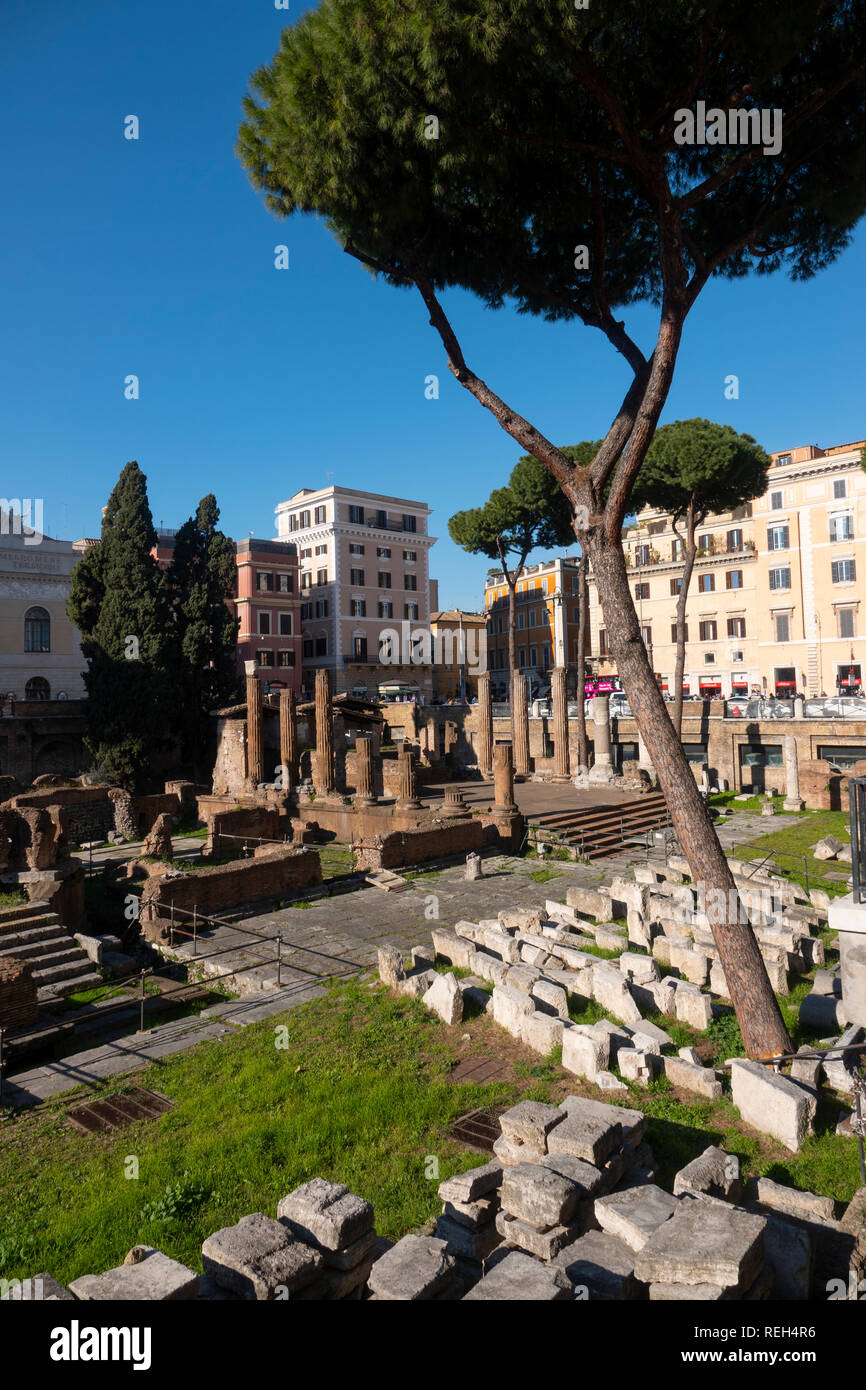 Europe Italie Rome Largo di Torre Argentina Accueil du Chat Sanctuary et ruines romaines Banque D'Images