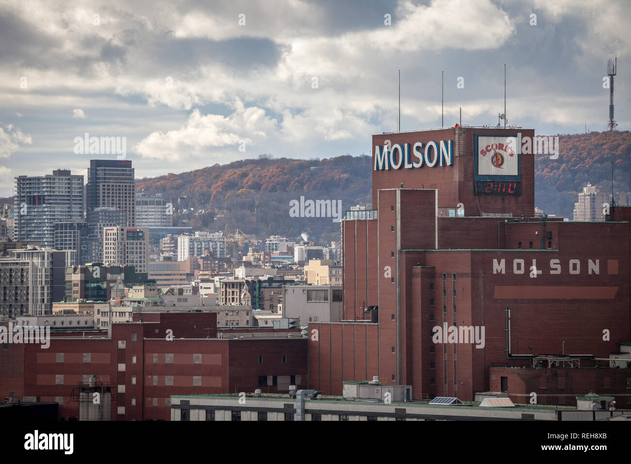 Montréal, Canada - le 8 novembre, 2018 : le logo de Molson Coors Molson Brewery tour de brique dans le centre-ville de Montréal, Québec. Il est l'un des plus grands producteurs de bière Banque D'Images