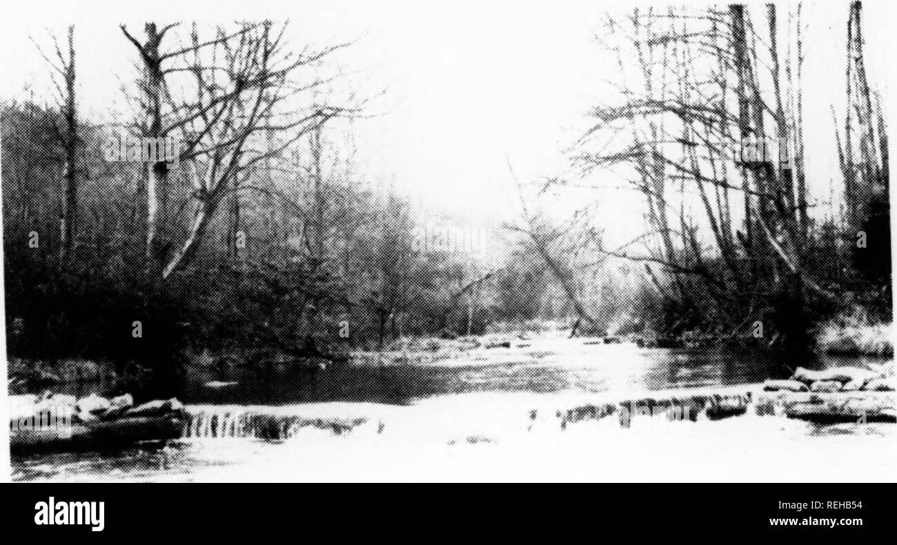 . Rapport biennal combinés pour la période se terminant le 1942/1946. La Commission des poissons en Pennsylvanie ; pêche ; la pisciculture. Avant la guerre. a 57-acre Lake a été développé sur la forêt d'Allegheny dans le vieinitv iitilizin de Marienville : enierjienev eanips lahor de conservation. Cette hodv siirroiindinji d'eau et de la surface du terrain sont nianajred ajireenients avec la coopérative en Pennsyl- vania Conseil d Coniniissioners du poisson et la Pennsylvanie (yanie Commission. La région a servi de poules d'eau et de petits ijanie refiijre iiiimher pour un d'années, l'état d'anil hatrhery poisson à Tionesta supprime f Banque D'Images