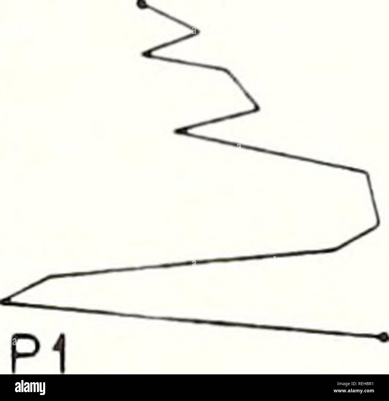 . Recueillis les réimpressions / laboratoires océanographiques et météorologiques de l'Atlantique [et] laboratoires océanographiques du Pacifique. Bedford périodiques.. I I I I I I i  10 14 18 22 500 BP 100"--- 3 760 BP*' .** 4&gt ; -|-^HS 200- " v-4 (en haut flanc) V-3 (bas flanc) CM | sable | argile limoneuse fHf t* Matériel de shell &Lt ;^ LA LITERIE - ?- DISCONFORMITY HS H, SABLE PLATEAU HOLOCÈNE.££l.£ réflecteurs sismiques I I I 1 I J L  10 14 18 22 10 050 B.P.' 10 950 BP1 I00i 22 035 25 300 BP : 200 B.P. ; 300- 36 600 BP. 400 CM- ' *i*. V-2 (creux) 29 700 B P" : l'IOO-f&gt ; :*j i i i i i i i i , 1014 I 8 2 2 4&gt ; fc^ 32 150 Banque D'Images