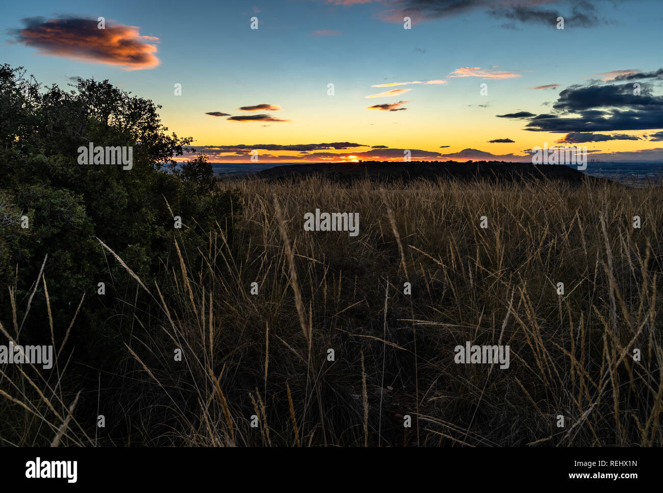 HDR coucher du soleil dans un champ avec sparte herbe, Madrid, Espagne Banque D'Images