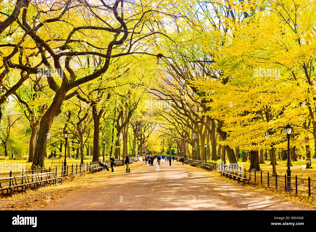 Le centre commercial Central Park New York automne Banque D'Images