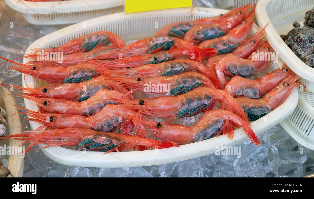 Un plateau de crevettes japonais rouge frais de nombreux petits œufs noirs  dans leur abdomen Photo Stock - Alamy