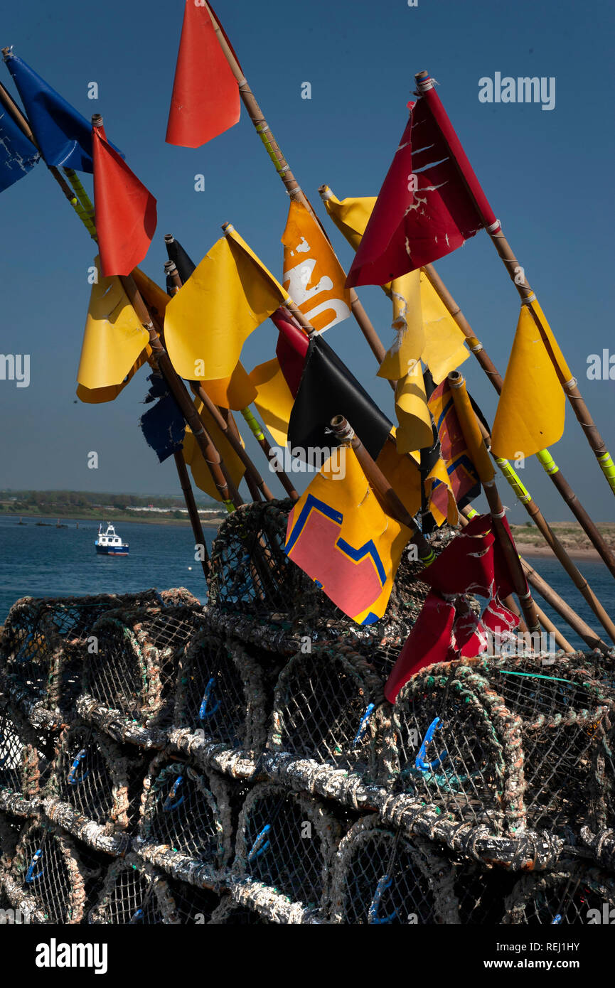 Drapeaux et cantres, Amble harbour, Northumberland Banque D'Images