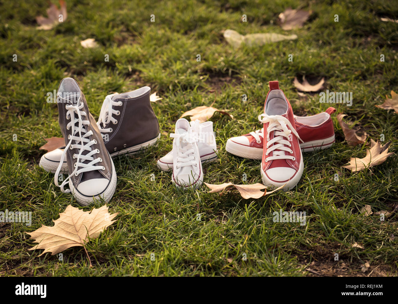Image conceptuelle de sneakers chaussures dans la famille Père Mère et bébé  tailles sur l'herbe dans un beau coucher de soleil d'automne lumière pour  vivre ensemble famille heureuse Expe Photo Stock -
