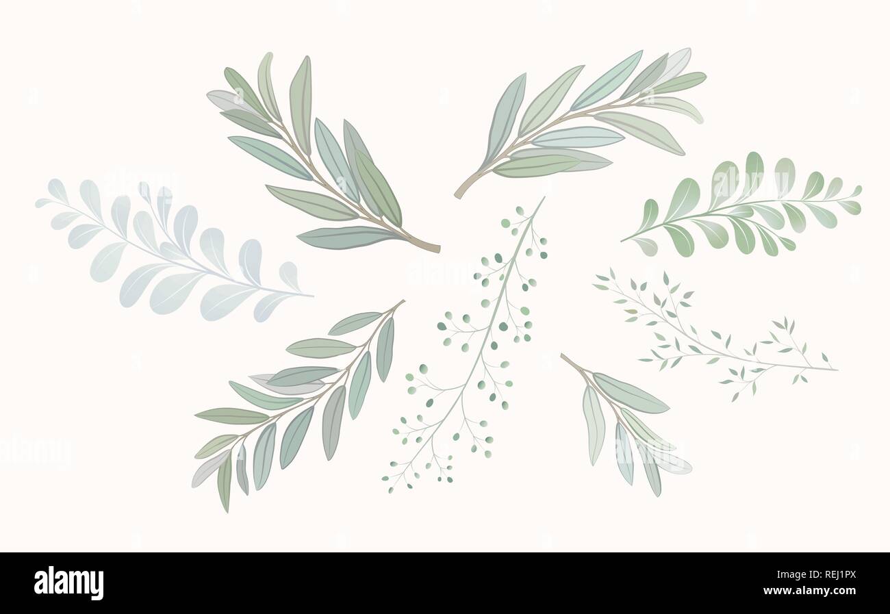 Fixer avec de belles petites branches avec des feuilles. Parure de mariage concept. L'Imitation de l'aquarelle, isolé sur blanc. Couronne de croquis, floral et herbes garland Illustration de Vecteur