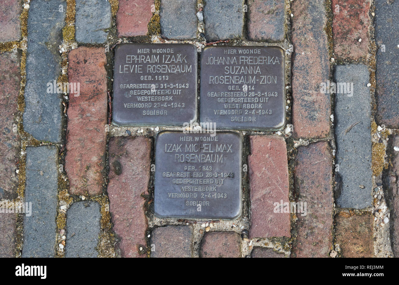 Plaques en laiton Stolperstein dans la chaussée en souvenir des victimes de l'holocauste juif néerlandais, Amsterdam, Pays-Bas, Europe Banque D'Images