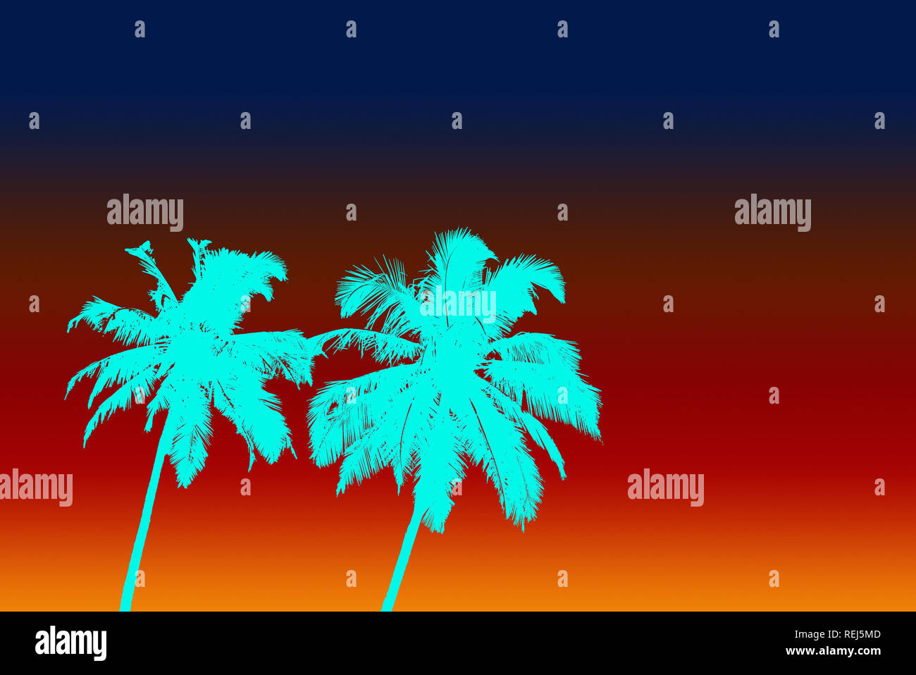 Deux couleur Aqua Palms et gradient sky Banque D'Images