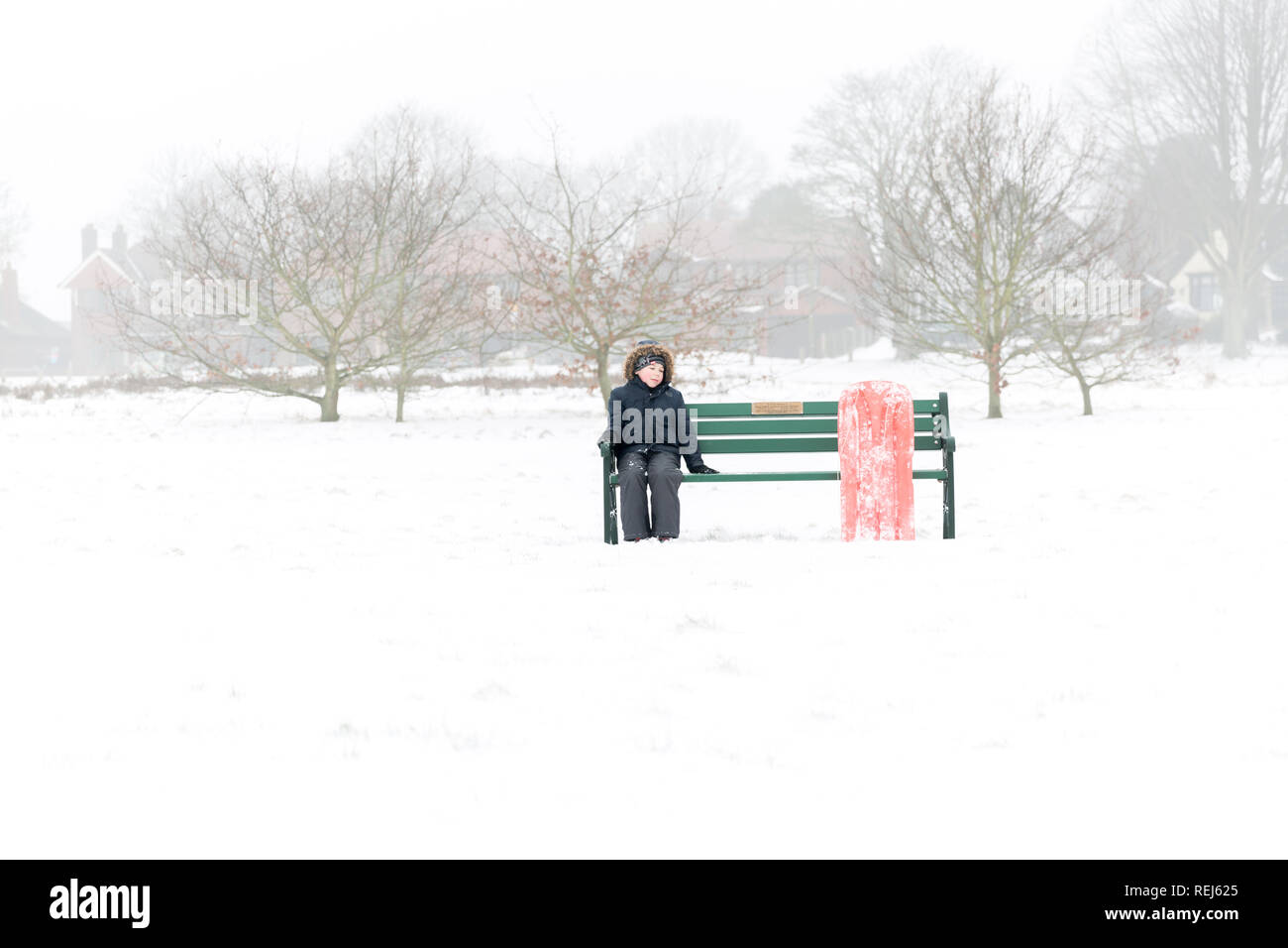 Amuser dans la neige Banque D'Images