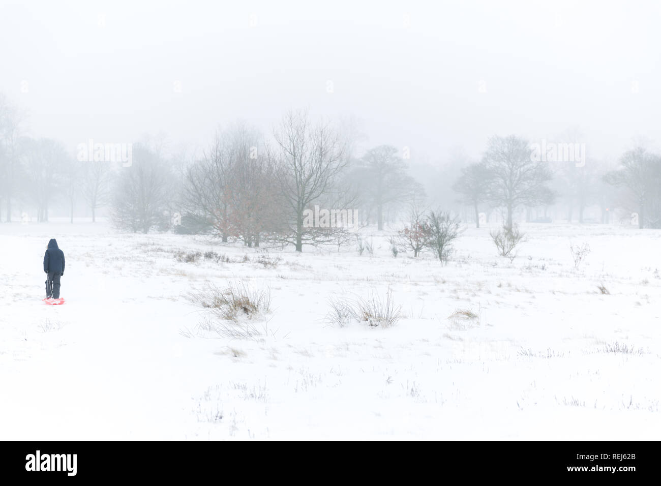 Amuser dans la neige Banque D'Images