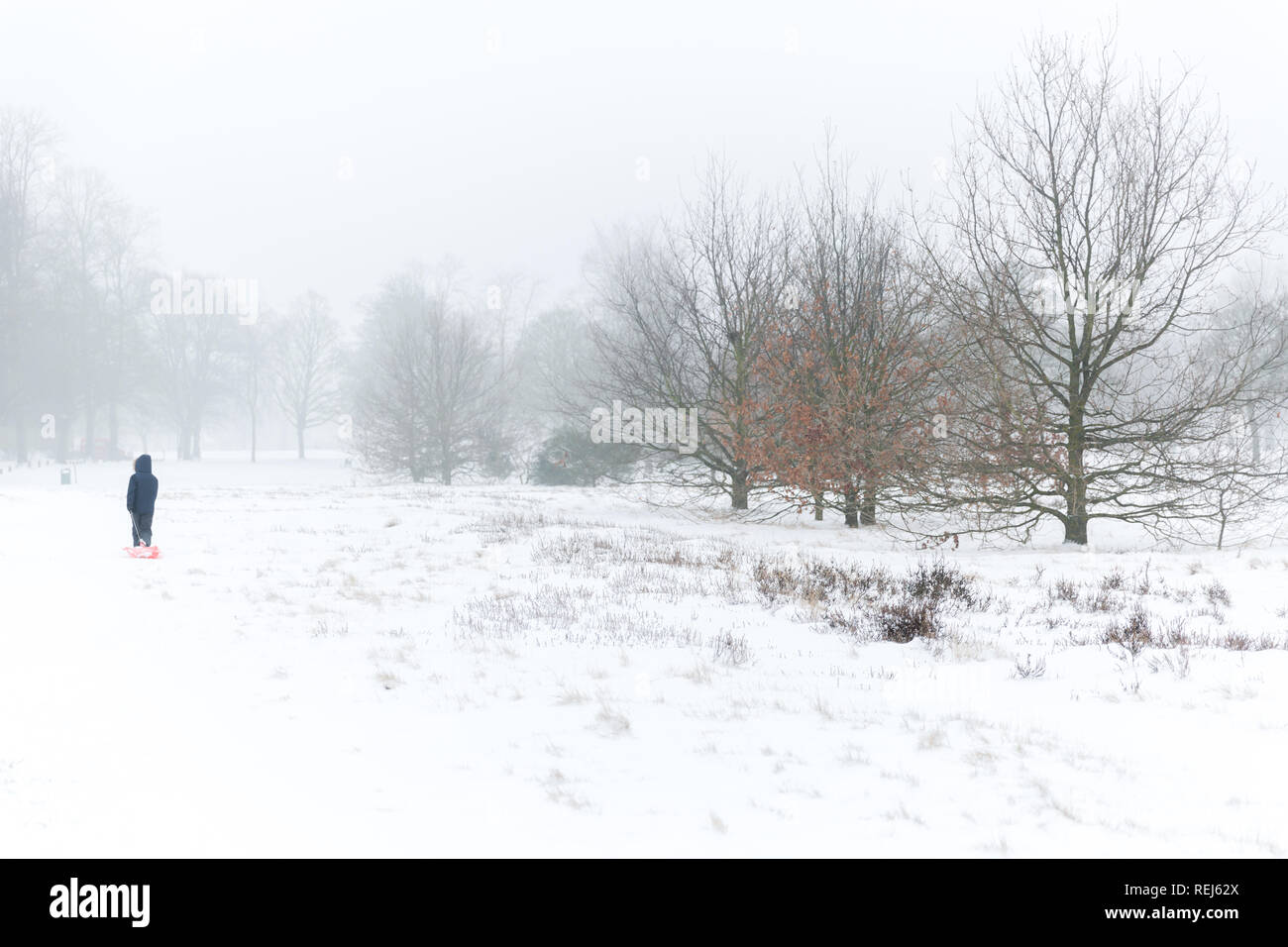 Amuser dans la neige Banque D'Images
