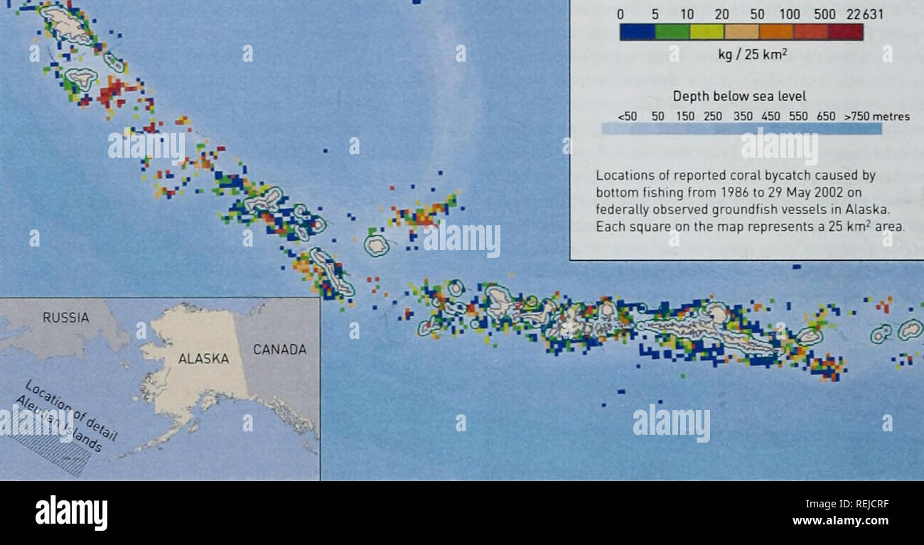 . Les récifs coralliens d'eau froide : loin des yeux - n'est plus hors de l'esprit. La diversité biologique du PNUE-WCMC Série 22. Les récifs coralliens d'eau froide. L'emplacement des prises accessoires de corail, en poids 05 10 20 50 100 500 22631 kg/25km2 Profondeur sous la mer levet 750melres endroits de prises accessoires de corail causé par la pêche de fond à partir de 1986 au 29 mai 2002 sur les bateaux de pêche du poisson de fond observés en Alaska- Chaque carré sur la carte représente une zone de 25 km^. La figure 2i : Les données sur la capture accessoire des pêches fédéraux US basée sur l'observation dans les îles Aléoutiennes, Oceana et Conservation Soutien SIG Centre, Anchorage. Ressources AK ont été découvertes sur couture Banque D'Images