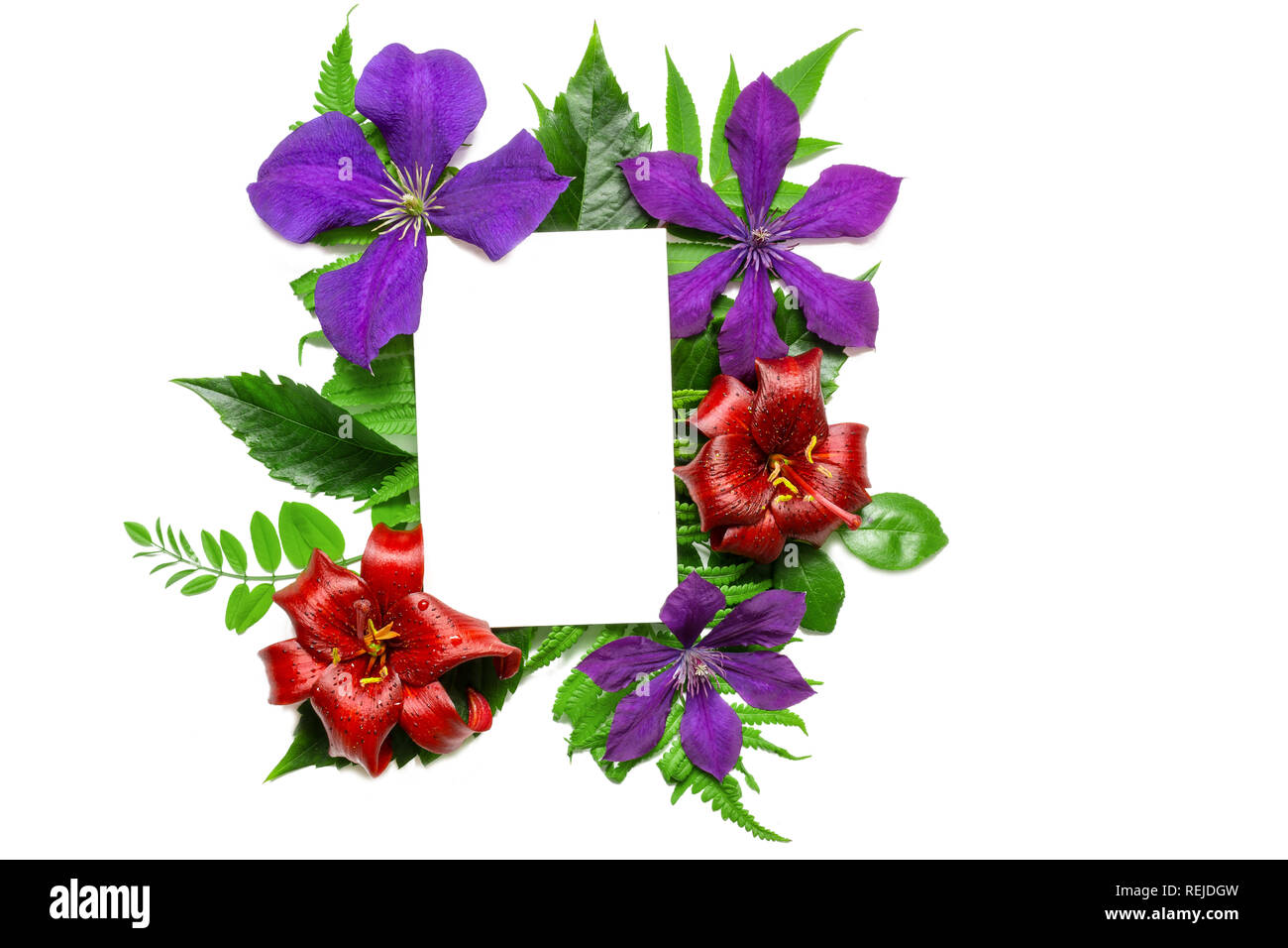 Mise en page créative avec des fleurs, feuilles et cartes de vœux en blanc isolé sur fond blanc. Concept de la nature. Télévision lay. maquette vue de dessus. Banque D'Images Mise en page créative avec des fleurs, feuilles et cartes de vœux en blanc isolé sur fond blanc. Concept de la nature. Télévision lay. maquette vue de dessus. Banque D'Images