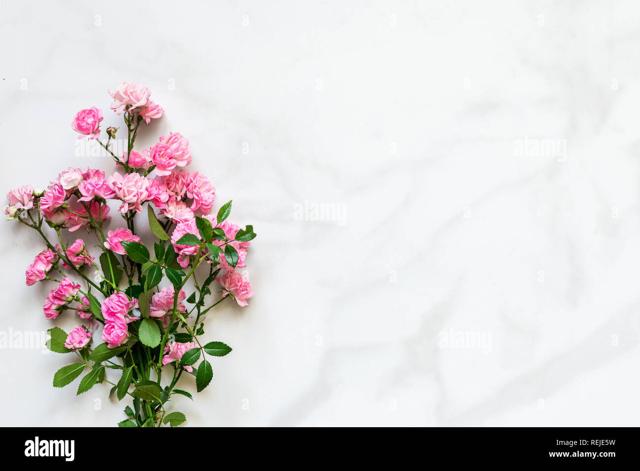 Roses roses fleurs bouquet sur table en marbre blanc avec copie espace. vue d'en haut. maquette concept nature. Banque D'Images