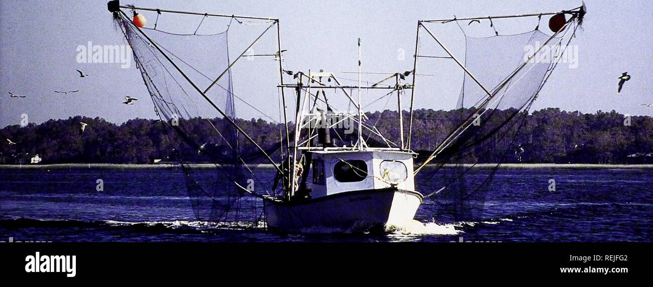 . Coast Watch. Ressources marines ; océanographie ; la gestion des zones côtières ; l'écologie côtière. Le cancer de la peau de pêche par Cornmumty Objectifs du projet Ann Green octors savent depuis longtemps que les pêcheurs et autres travailleurs qui passent beaucoup de temps au soleil sont à risque accru de problèmes de peau, des éruptions cutanées, des cancers de la peau. Dans une université de la Caroline de l'étude, près de 25 pour cent de la communauté des pêcheurs de la Caroline du Nord ont déclaré avoir des problèmes de peau, selon Caroline du Sea Grant David Griffith. En dépit d'avoir des problèmes de peau, les pêcheurs souvent ne cherchent pas un traitement médical pour la maladie Banque D'Images