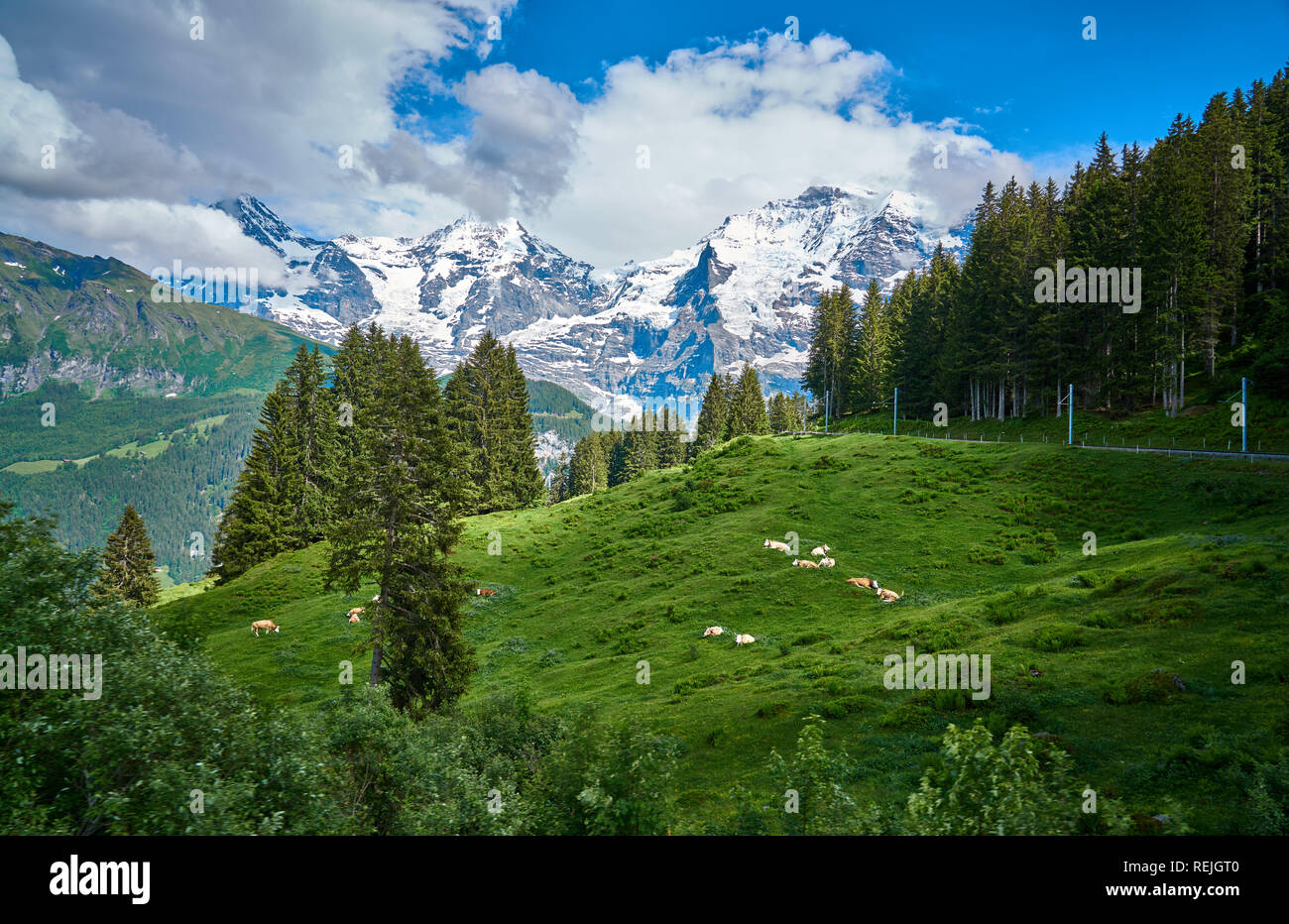 Panorama des Alpes suisses avec nature verte et montagnes enneigées. Prise du train Grütschalp - Mürren, au-dessus de la vallée de Lauterbrunnen, Suisse Banque D'Images