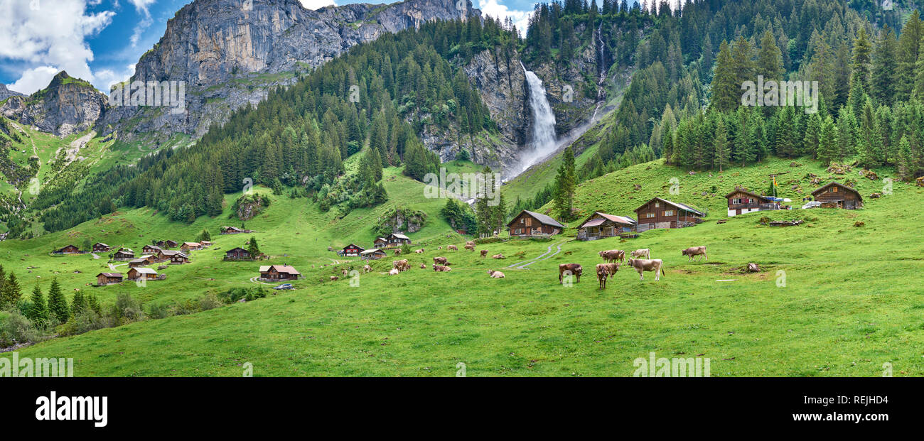 Magnifique panorama de paysage depuis les Alpes suisses, avec des vaches, des aquarelles, des prairies et des fermes. Prise à Äsch (Asch) village, canton d'Uri, Suisse. Banque D'Images