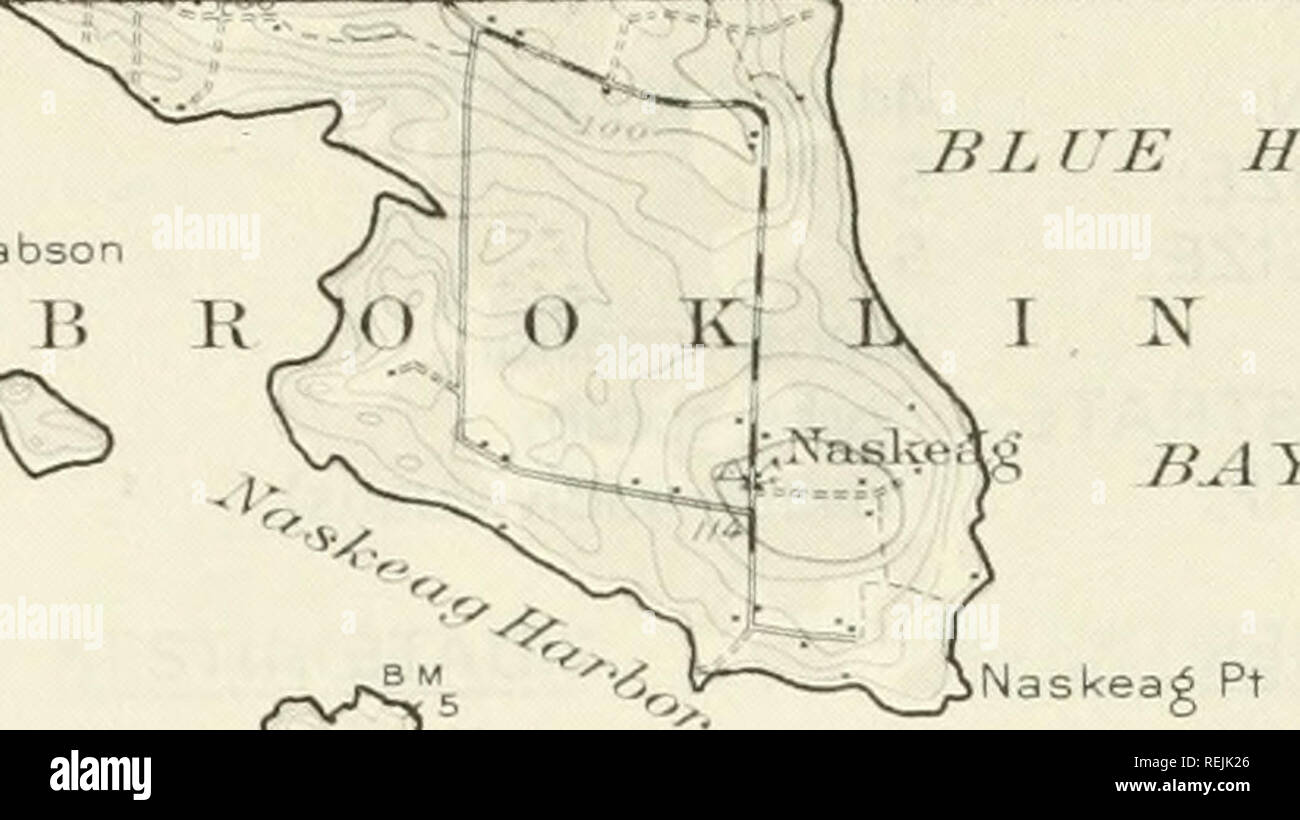 . Les colonies d'oiseaux d'eau côtières, dans le Maine à la Virginie, 1977 : un atlas montrant les emplacements des colonies et la composition des espèces. Les oiseaux de mer -- membres de l'Atlantique ; les oiseaux -- membres de l'Atlantique. HLVK HILL. Naskeag Pt (^ ' ^Harbour evi est chef 268 ^muTtynose 069 V* Je v 268 070^* S3 / Mahonev^Crow / Q / 268 071 LED vert£e 1268 W 072^^- r  = gafi RocU ) Peu -' $ 1 moutons â" les moutons je vire c &gt ; VO U68 074k /^hBold »^^ J'Heli- Â"XLA Frissons Devil Clam Shabby P) .1 ingle J 3 * z s  =3 mil 9 boucle Coombs Saddleback Phoebe je â c. Ram J'Epicéa JE Gunning Enchanted Rock v 3S1 Pltf f. s. Veuillez noter que le t Banque D'Images