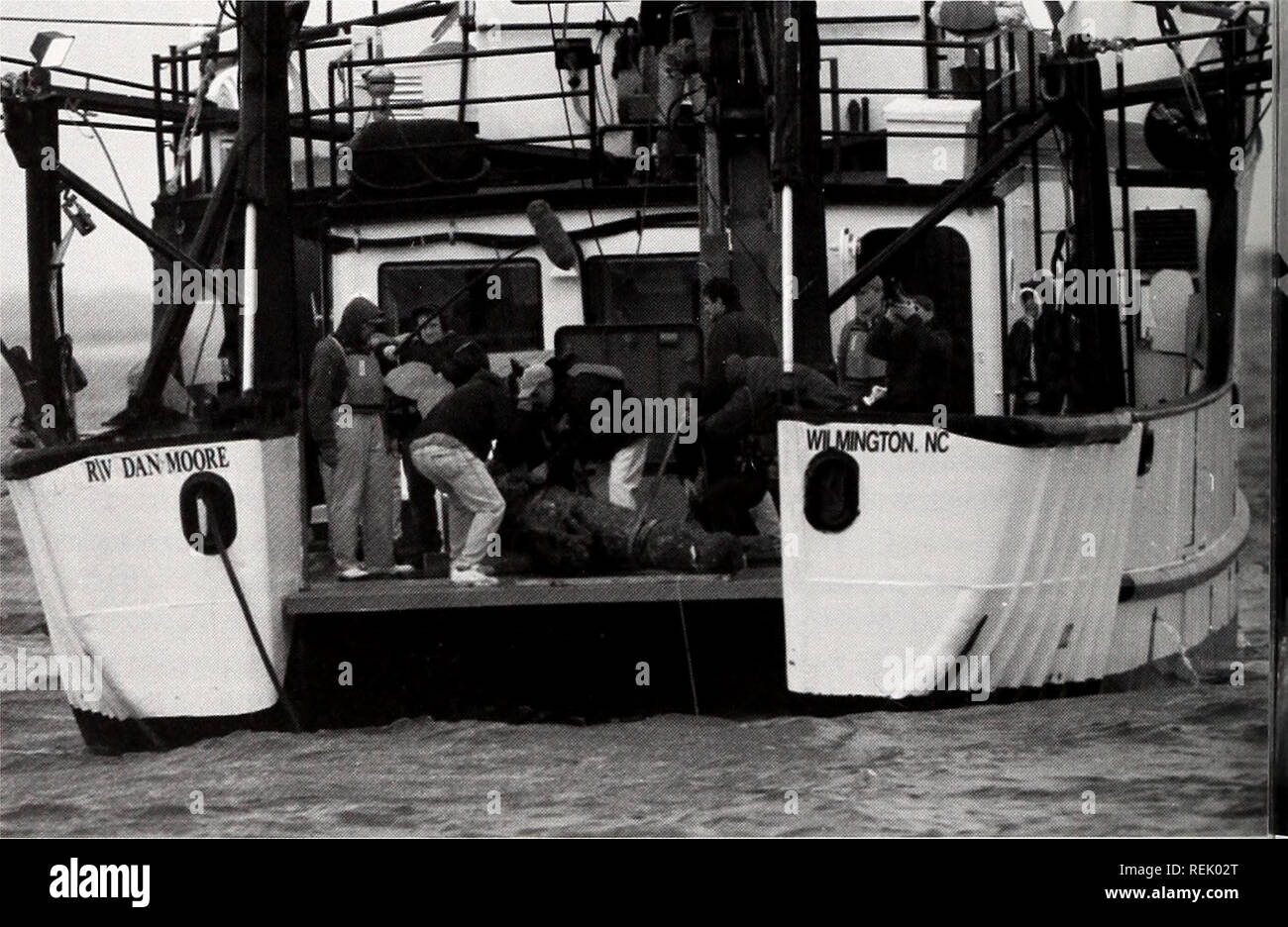 . Coast Watch. Ressources marines ; océanographie ; la gestion des zones côtières ; l'écologie côtière. Blackbeard's flagship ? La recherche d'une épave d'Indices W T Theth par Julie Ann puissances où le navire mis en port. D'après une description récemment redécouvert la capture de Concorde, ses dirigeants ont été dépouillés de la poussière d'or lorsque Blackbeard's band a saisi le navire d'esclaves à destination des Caraïbes en 1717. Concorde a été dépassé au large de la côte de Saint Vincent dans les Caraïbes orientales, comme il a voyagé entre le Sénégal et la Martinique. "Nous n'avons trouvé Blackbeard's Treasure par quelque moyen que ce soit," dit Crow de la b Banque D'Images