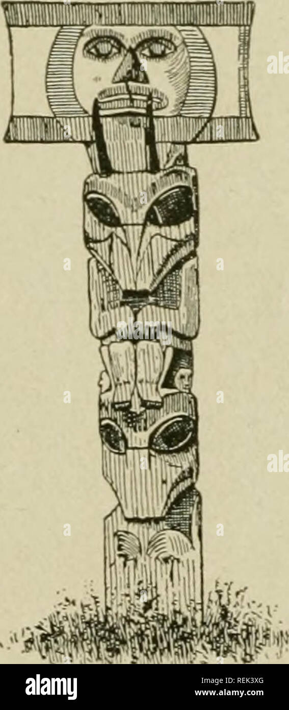 . Les Indiens de la côte du sud de l'Alaska et du nord de la Colombie-Britannique. Indiens d'Amérique du Nord ; les Indiens d'Amérique du Nord. . Veuillez noter que ces images sont extraites de la page numérisée des images qui peuvent avoir été retouchées numériquement pour plus de lisibilité - coloration et l'aspect de ces illustrations ne peut pas parfaitement ressembler à l'œuvre originale.. Niblack, Albert P. Albert (Parker), 1859-1929. Washington, D. C. Le Musée Banque D'Images
