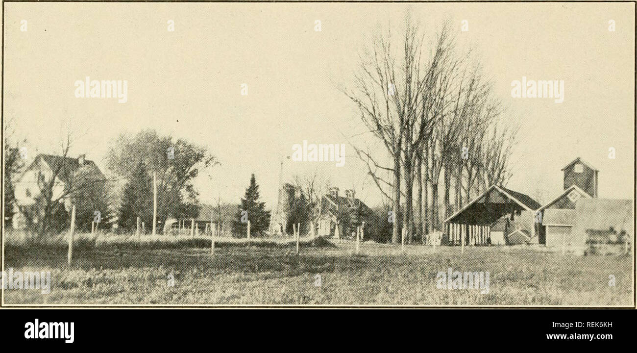 . Le comté de Clay. L'agriculture. 60 COMTÉ DE CLAY ILLUSTRÉ. Otto J. Grover's Farm qu'il appert à la nord-est de l'Otto J. Grover est un des leaders de l'agriculture diversifiée. Sa ferme contient 478 acres, et de ces 70 acres et à colombages sont utilisés pour le pâturage. Il a 30 hectares ensemencée de luzerne et trèfle à 35 et Timothy. Chaque année, il plante 50 hectares de maïs et a été un producteur de semences. Les pommes de terre sont une des principales cultures ; et, sur l'équilibre de l'exploitation agricole, le blé, l'avoine et l'orge sont soulevées. M. Grover a déjà jeté environ 300 tiges filetées de 6 pouces et de tuiles est si bien heureux avec le r Banque D'Images