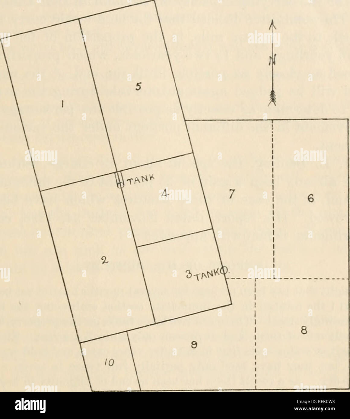 . Circulaire. Gramineae -- United States ; les plantes fourragères -- United States. La section a été divisé en six alpages de 80 acres chacun, deux de 40 acres, et l'un des 70 acres, et les 10 autres hectares sont consacrés à la culture des herbes. Les travaux comme prévu est le suivant : n° Pastnre 1.-Pas de traitement sauf pour garder hors stock jusqu'au 1er juin, le pâturage le reste de la saison. Pâturage no 2.-Cut avec une herse du disque et gardé hors stock jusqu'au 1er juin, le pâturage le reste de la saison.. Fig. 1.-Le plan de 040-acre digestif utilisé pour la gamme des expériences à Abilene, Texas (échelle 3 pouces pour le mile. Banque D'Images