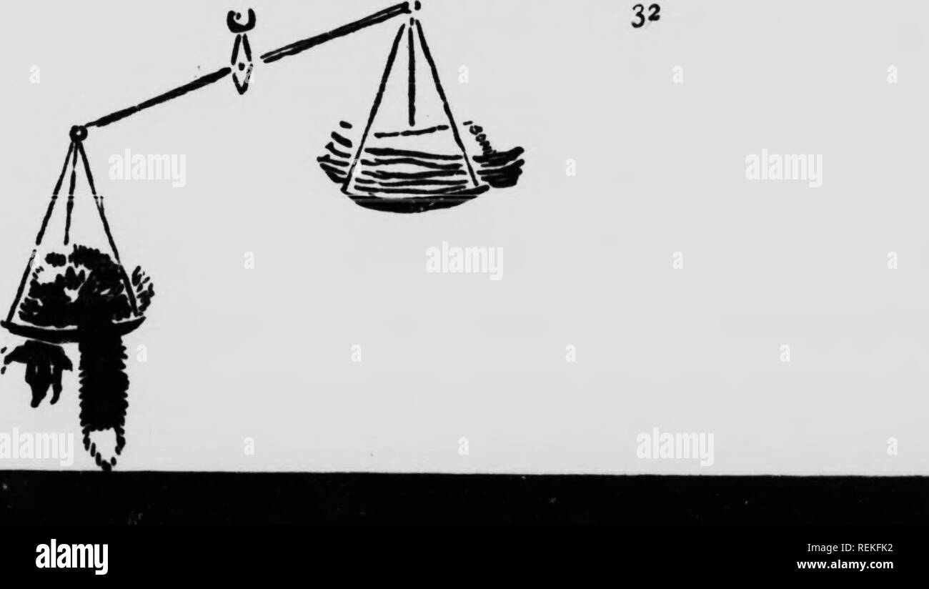 . Les animaux sauvages à la maison [microform]. Animaux ; zoologie ; Animaux ; Zoologie. Fmmms bcSfMt Fttt-dans les trous ou dans la graisse de leur corps, donc pas besoin d'être dehors quand l'intensest est froid sur la terre. Certains ont à faire face à la météo tout l'hiver, et dans ces nous trouvons la fourrure de sa meilleure qualité. De cette classe sont la martre et le renard du Nord. Ils sont les meilleurs, plus chaud, plus léger, le plus tendre de toutes les fourrures. Mais la couleur est un point cardinal quand la beauté est pris en considération et où la mode est Queoi. Ainsi le du^cest les couleurs sont les soft brun olive avec des poils d'argent, trouvé dans le sable, et le russe noir brillant wit Banque D'Images