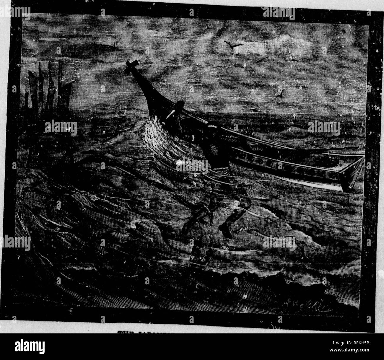 . La mer et la terre [microforme] : une histoire illustrée de la merveilleuse et objets curieux de la nature existant avant et depuis le déluge ...  : Étant une histoire naturelle de la mer illustré par les aventures d'agitation avec les baleines ... Aussi : une histoire naturelle des créatures telles que les lions, ...  : Pour ce qui est joint en annexe une description des sauvages cannibales et races du monde, leurs coutumes, habitudes, férocité et curieux des façons. Zoologie ; histoire naturelle ; Zoologie ; sciences naturelles. &Gt;s circuni MTSTERIES- DE LA PROFONDE 8EA. gjj ..e pig, .0. le ..,e. u ^^^^v r.^^^^, : : : :^^. Les Japonais, ou araignée,. Banque D'Images