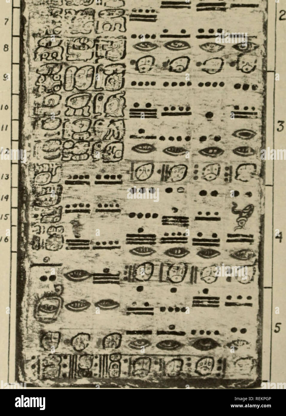 . Anciennes Civilisations du Mexique et Amérique centrale. Les Indiens du Mexique ; les Indiens de l'Amérique centrale. mm®'**Ze,000 •• •" = OIS--fa". XXIV la plaque. La page 24 du Codex de Dresde. 130. Veuillez noter que ces images sont extraites de la page numérisée des images qui peuvent avoir été retouchées numériquement pour plus de lisibilité - coloration et l'aspect de ces illustrations ne peut pas parfaitement ressembler à l'œuvre originale.. Herbert Spinden, Joseph, 1879-1967. New York Banque D'Images