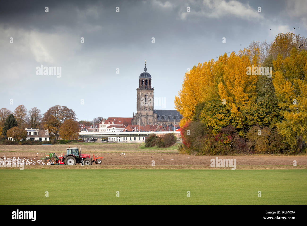 Les Pays-Bas, Deventer, tracteur, terres agricoles, église, couleurs d'automne. Banque D'Images