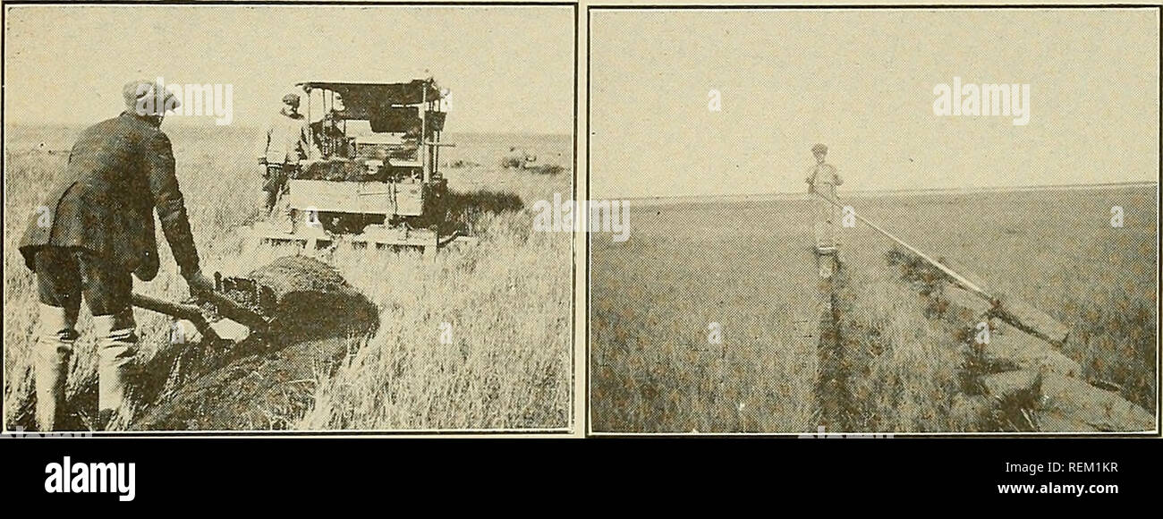 . Circulaire. L'agriculture, de l'Agriculture, de l'entomologie. Le Moustique doit aller 19 l'homme a mis au point des méthodes efficaces pour réprimer le Salt-Marsh Alan moustiques n'est pas en mesure de modifier le temps, mais il peut alors ouvrir le marais salé avec fossés que toute l'eau sur elle va augmenter et l'automne avec la marée et les moyens le cyprinodonte accès facile à toutes les parties du marais. Ainsi, il aide les moustiques le plus grand ennemi naturel-le-barré d'atteindre et de les détruire.. Veuillez noter que ces images sont extraites de la page numérisée des images qui peuvent avoir été retouchées numériquement pour plus de lisibilité - coloration et appearan Banque D'Images