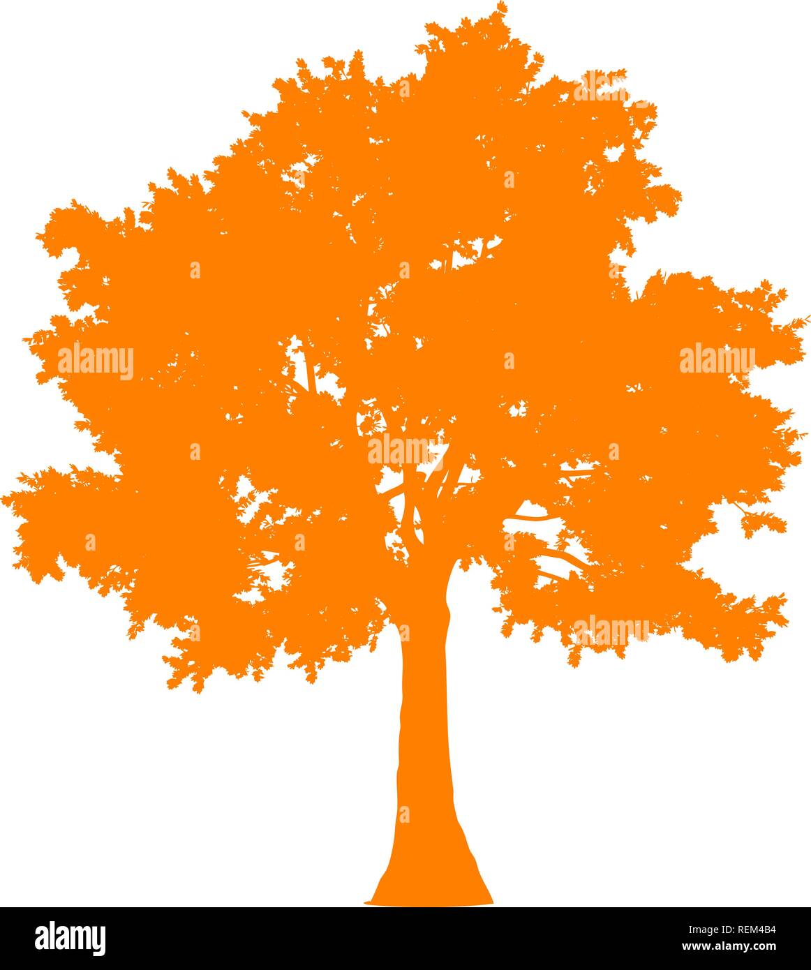 Profil de l'arbre isolé silhouette - orange - vector illustration détaillée simple Illustration de Vecteur