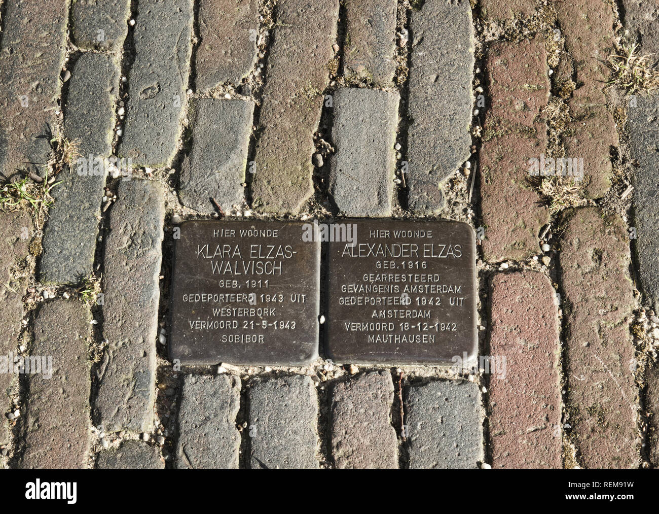 Stolperstein, plaques en laiton intégrés dans la chaussée en mémoire des victimes juives de l'Nazi, Amsterdam, Pays-Bas, Europe Banque D'Images