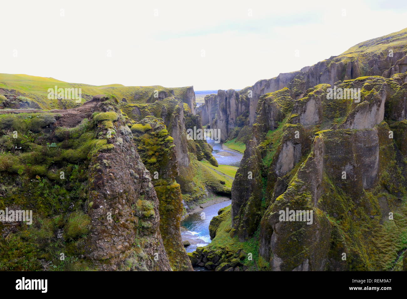 Fjaðrárgljúfur canyon, Islande Banque D'Images