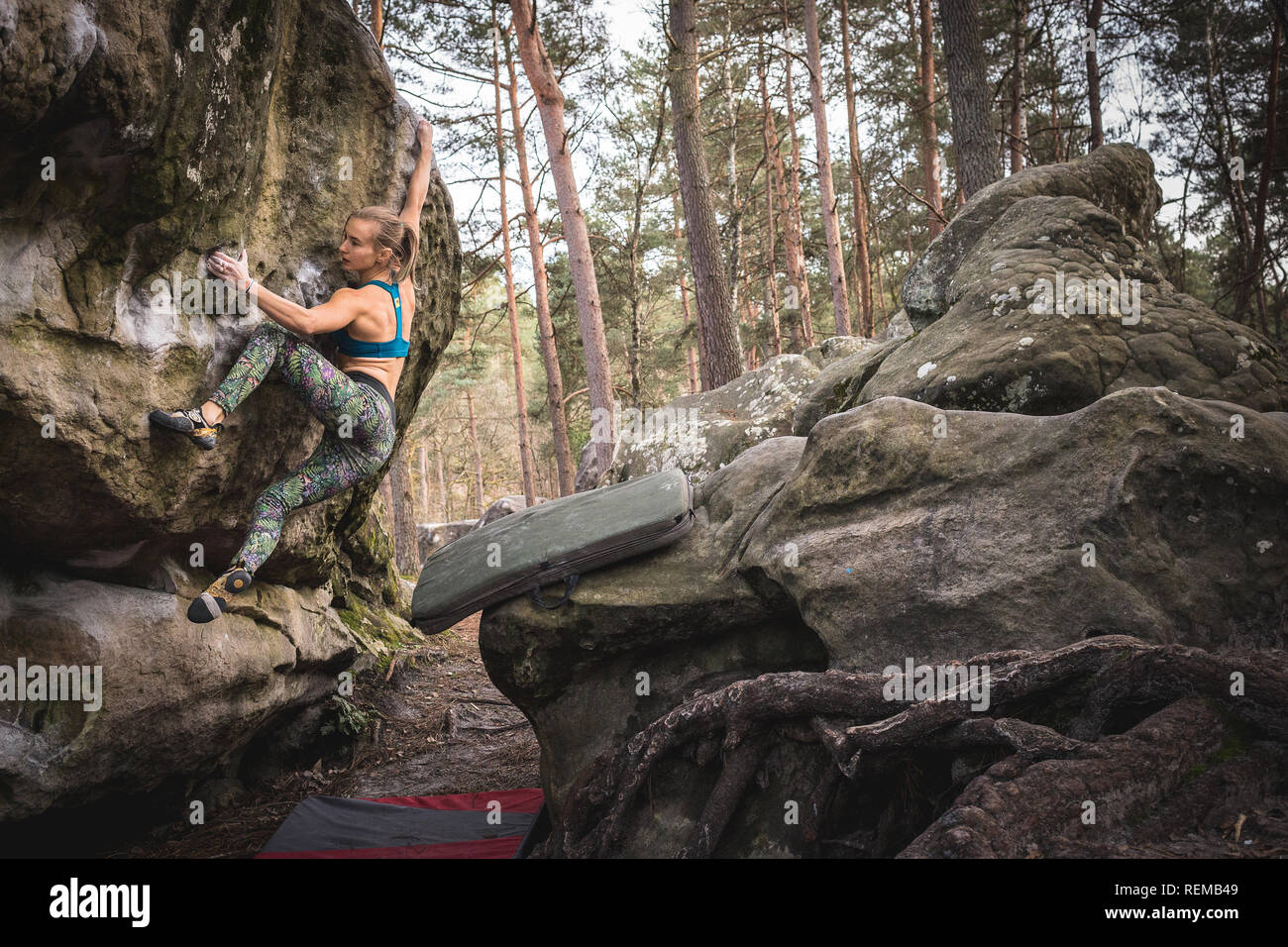 Rock climber Zofia Reych bouldering dans la forêt de Fontainebleau, France. Banque D'Images