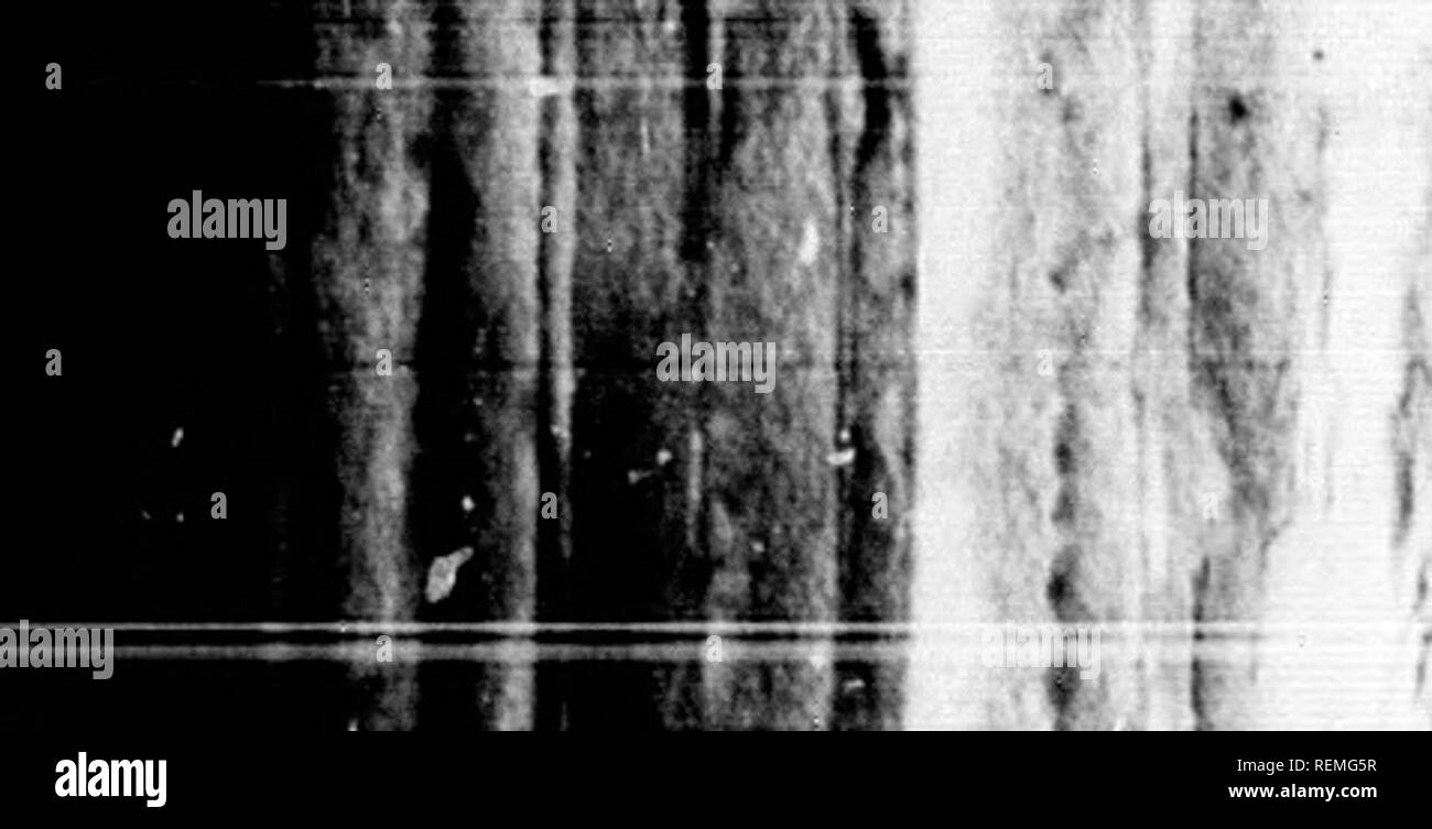 . Histoire naturelle des vÃ©gÃ©taux classÃ©s par familles [microforme] : avec la citation de la classe et de l'ordre de LinnÃ©, et l'indication de l'usage que l'on peut faire des plantes dans les arts, le commerce, l'agriculture, le jardinage, la mÃ©decine, etc. des figures dessinÃ©es d'aprÃ s¨ la nature, et un genre complet, selon le systÃ me¨ de LinnÃ©, avec des renvois aux familles naturelles de A.L. de Jussieu. Botanique, la botanique. Je fÃ¯ u, I. 252, Capparis T â² B L'EI spinosa Capraria , Ciipsicum Caprifolia, Caprifolium, cardamine, Cardi, pratensÃ Mospermum ,®s , Carduus nutans ââââ , , &Quot Banque D'Images