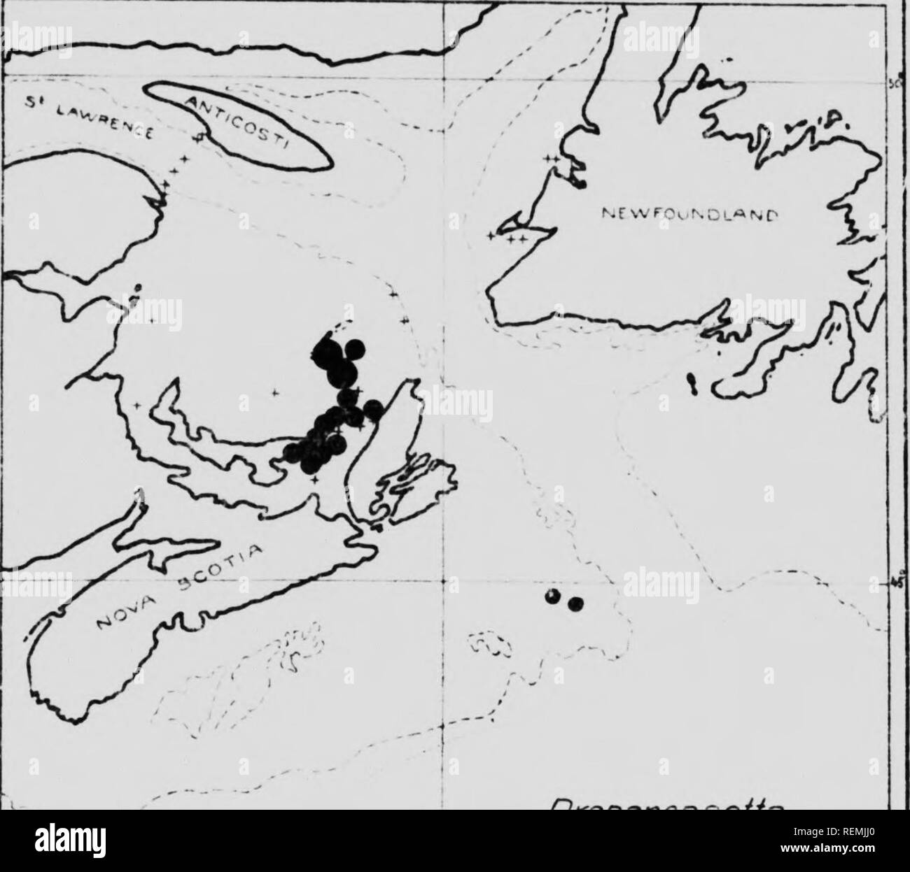 Biologie Des Eaux De L Atlantique Du Canada Microforme Les Poissons Oeufs Et Larva Poissons Poissons