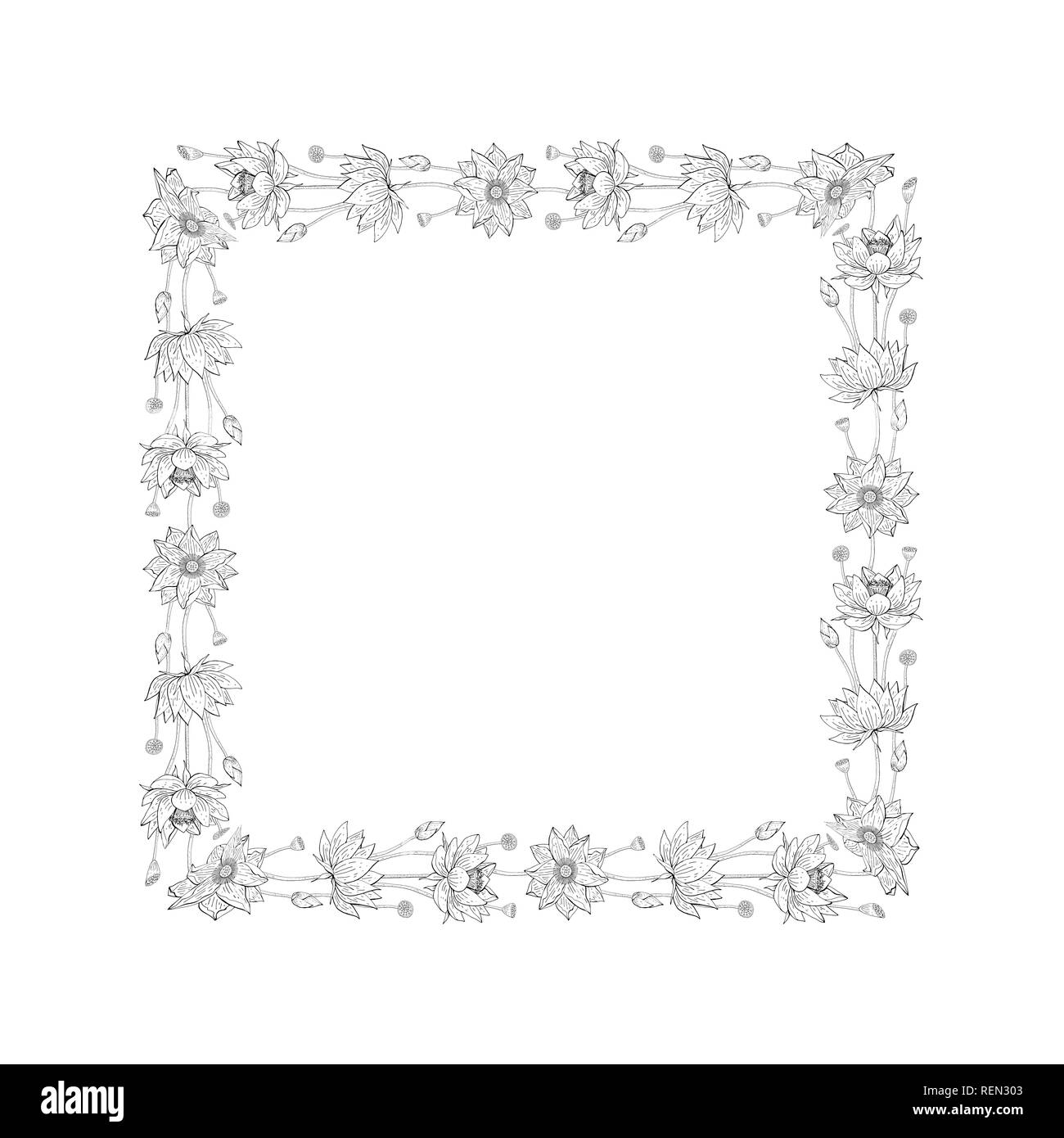 Gerbe de fleurs de lotus, floral décoration carrés frontière, éléments de conception botanique Banque D'Images