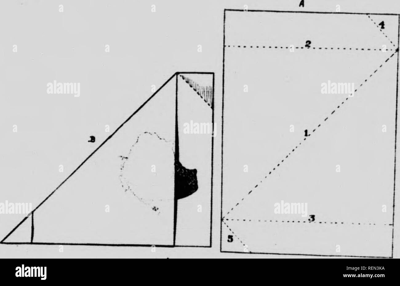 . Orientations pour la collecte et à la préservation des insectes [microform]. Insectes ; les insectes. 1 ! Sur le spedmens. Très minute insectes autres que les mites peuvent être très satis- bien paniers m petites fioles ou boîte à pilules entre les bottes de coton, ce qui concerne la capture de données- bemg écrit sur un petit morceau de papier placé dans le^epfade r- "N"n ?r^^^*""'''''l ?j:j' ?^Â°""^^^» ?""^^^ t de grands papillons de nuit devrait être pap-rouge . Soi-disant "papiers" de différentes tailles peuvent être faites à l'un de loisirs du moderatdy^ ungla th.ck^ed papier, couper et plier comme indiqué dans l'acTom ! Panying diagra Banque D'Images