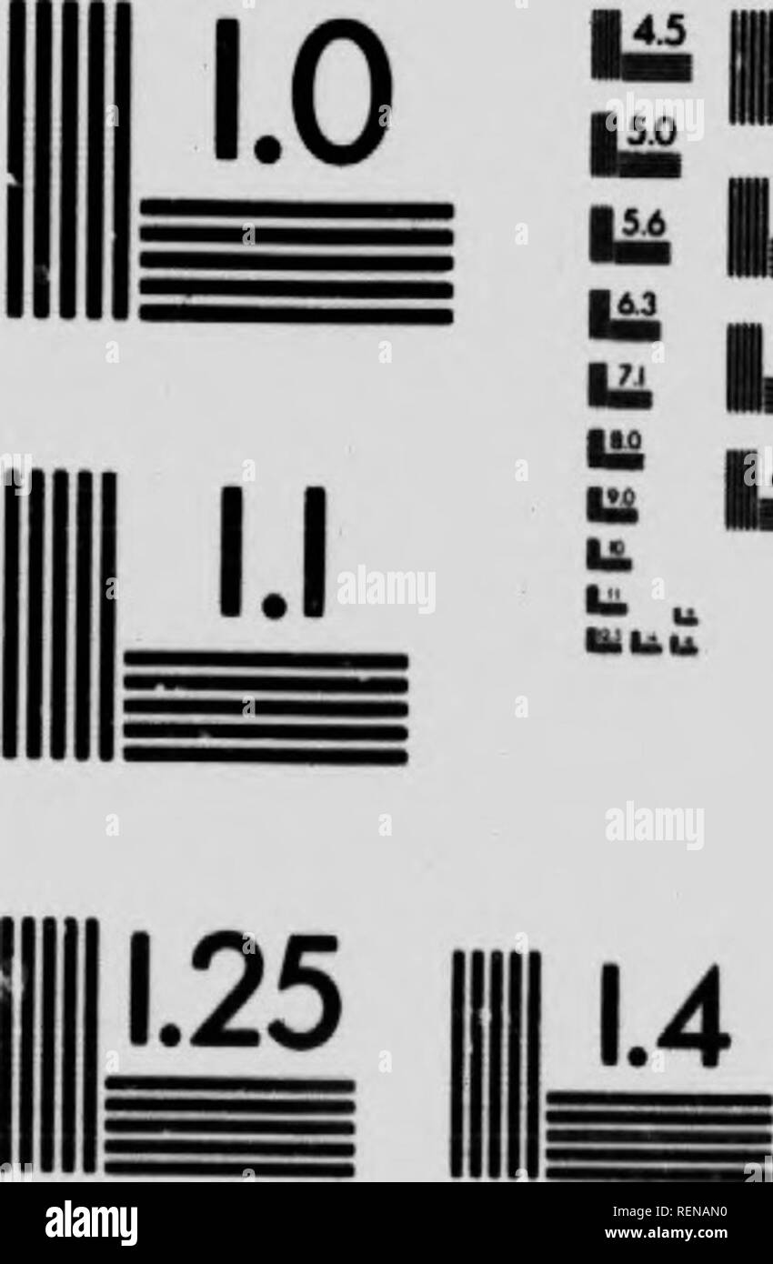 . Guide d'oiseaux [microform]. Les oiseaux aquatiques, les oiseaux, gibier d'eau, Oiseaux. MICROCOI&gt;Y RÉSOLUTION GRAPHIQUE DE TEST (ANSI et ISO RELATIVES AUX DOCUMENTS VISUELS Graphique n° 2). 'Imm m 1^^ â 3,6 iiiiit iim ||||M 1,8 1,6  IIVMGE J /APPLIQUÉ B Inc^ 1653 East Main StrffÂ« RochÂ t r-S"Â"ter. New York 14609 USA maintenant J = (716) 482 - 0300 - Un ^Téléphone (716) 288- 5989 -Fox. Veuillez noter que ces images sont extraites de la page numérisée des images qui peuvent avoir été retouchées numériquement pour plus de lisibilité - coloration et l'aspect de ces illustrations ne peut pas parfaitement ressembler à l'œuvre originale.. Chester A. Reed, Chester (Albert), 1876-1912. Toronto : Musson Banque D'Images