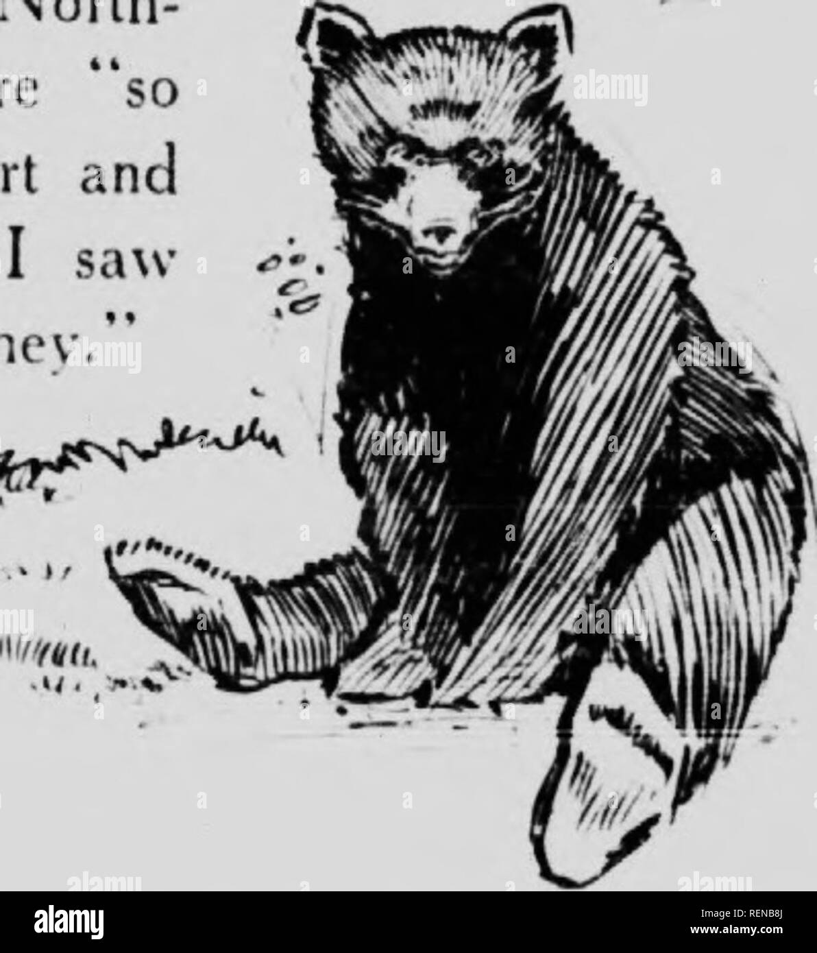 . Une griffe de l'ours [microforme] : avec quelque compte de l'ours noir, sa vaste distribution, ses variations de couleur, curieux et ses caractéristiques et invariable des habitudes. La nôtre ; les ours, ours noir, ours noir. M/..^&gt;V'r- iiijij^: !|V ;^ ;. ..."^m^^^''. Veuillez noter que ces images sont extraites de la page numérisée des images qui peuvent avoir été retouchées numériquement pour plus de lisibilité - coloration et l'aspect de ces illustrations ne peut pas parfaitement ressembler à l'œuvre originale.. Manitoba Free Press. [Winnipeg ?  : S. n. ] Banque D'Images