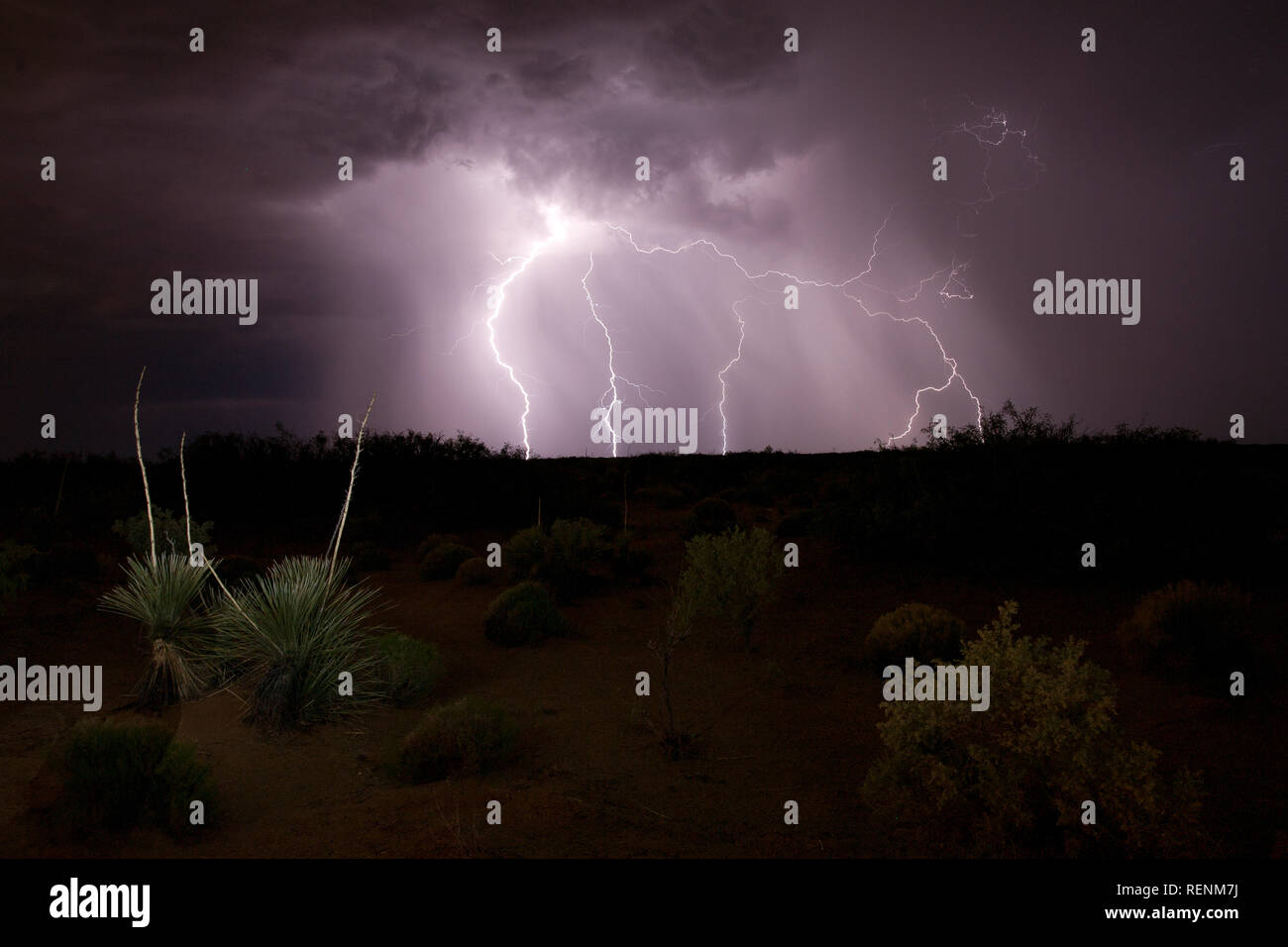 La foudre dans la forme d'un cheval, Nouveau Mexique Banque D'Images