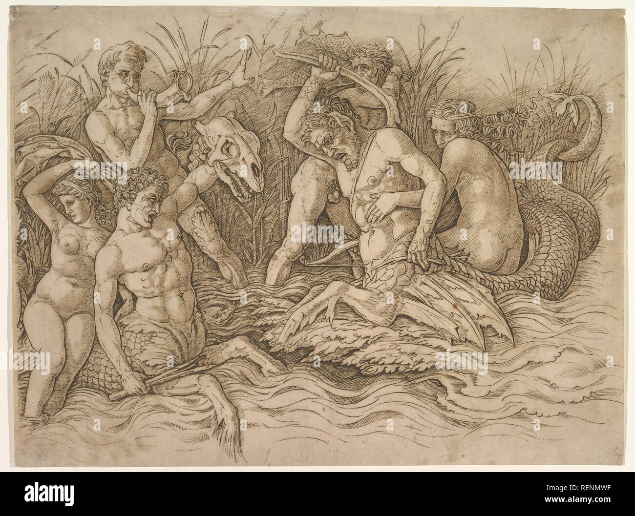 Le combat de l'Sea-Gods (moitié droite). Artiste : Andrea Mantegna (Italien, Isola di Carturo 1430/31-1506 Mantoue). Fiche Technique Dimensions : (découpés) : 11 5/8 x 15 1/2 in. (29,5 × 39,4 cm). Date : ca. 1485-88. Musée : Metropolitan Museum of Art, New York, USA. Banque D'Images Le combat de l'Sea-Gods (moitié droite). Artiste : Andrea Mantegna (Italien, Isola di Carturo 1430/31-1506 Mantoue). Fiche Technique Dimensions : (découpés) : 11 5/8 x 15 1/2 in. (29,5 × 39,4 cm). Date : ca. 1485-88. Musée : Metropolitan Museum of Art, New York, USA. Banque D'Images